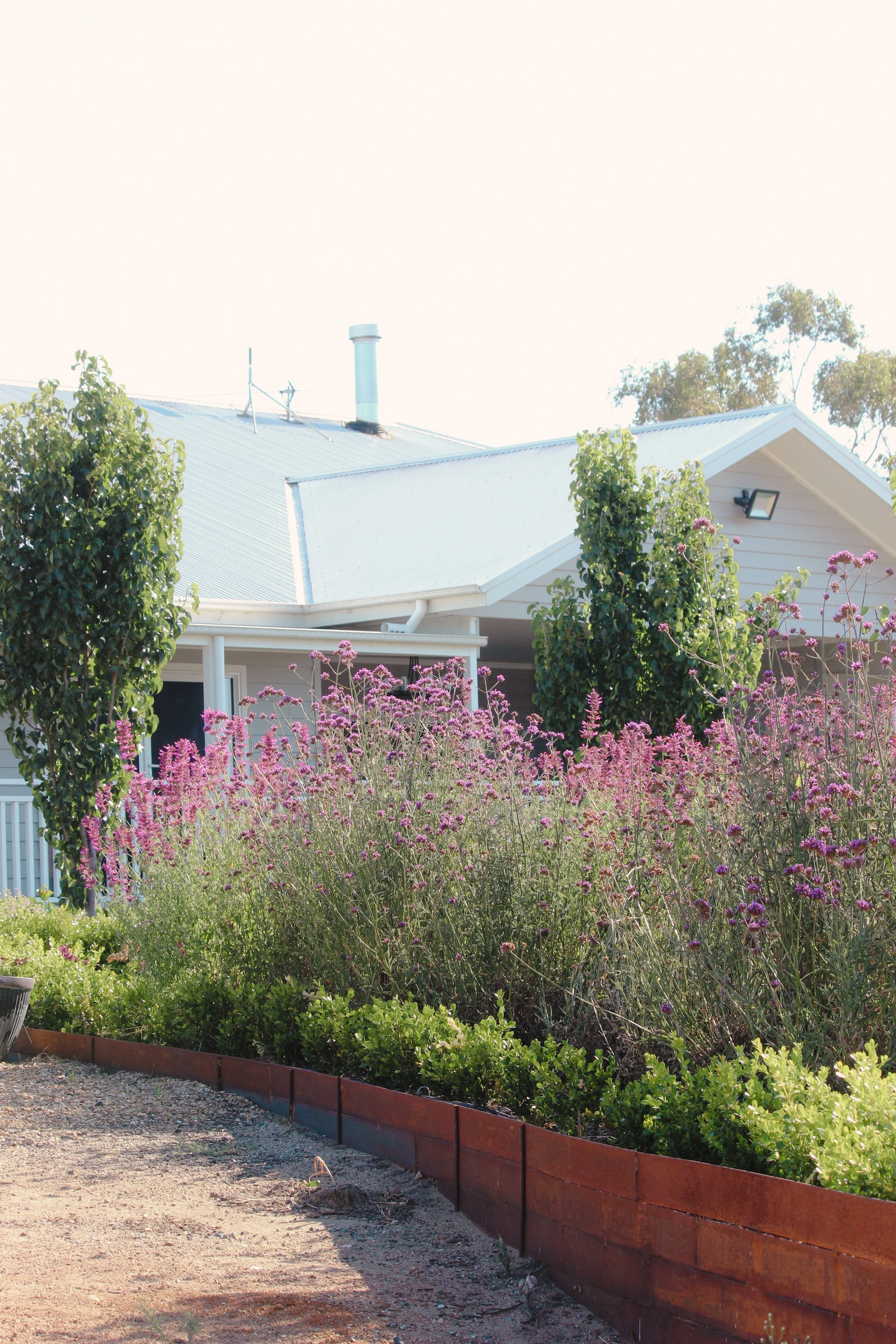 Landscape Design, Garden Design, rural Australia, country estate, perennial garden, naturalistic planting