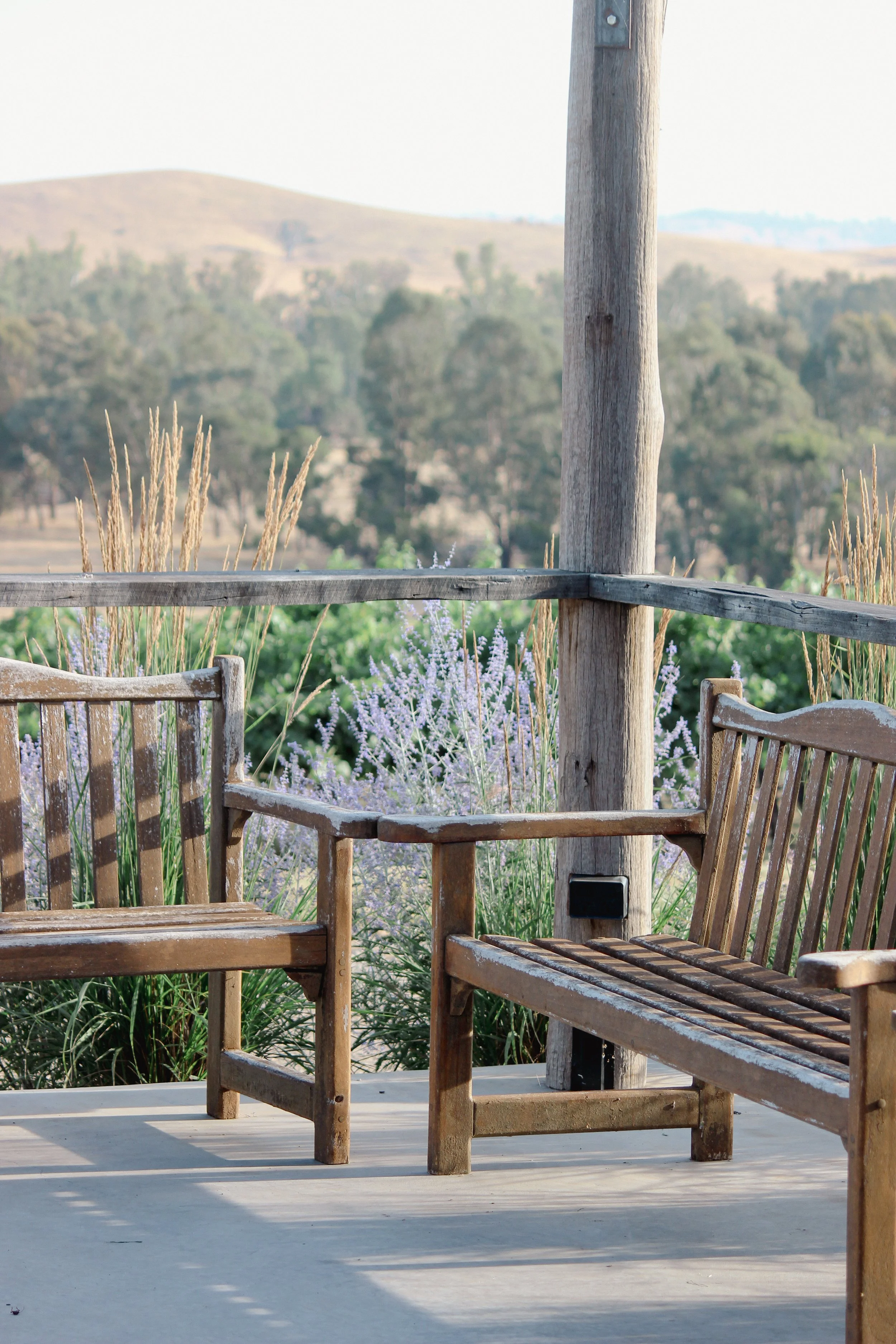 garden design, jardin, Russian sage, country garden, winery, Karl foerster, calamagrostis, rural garden, garden seating