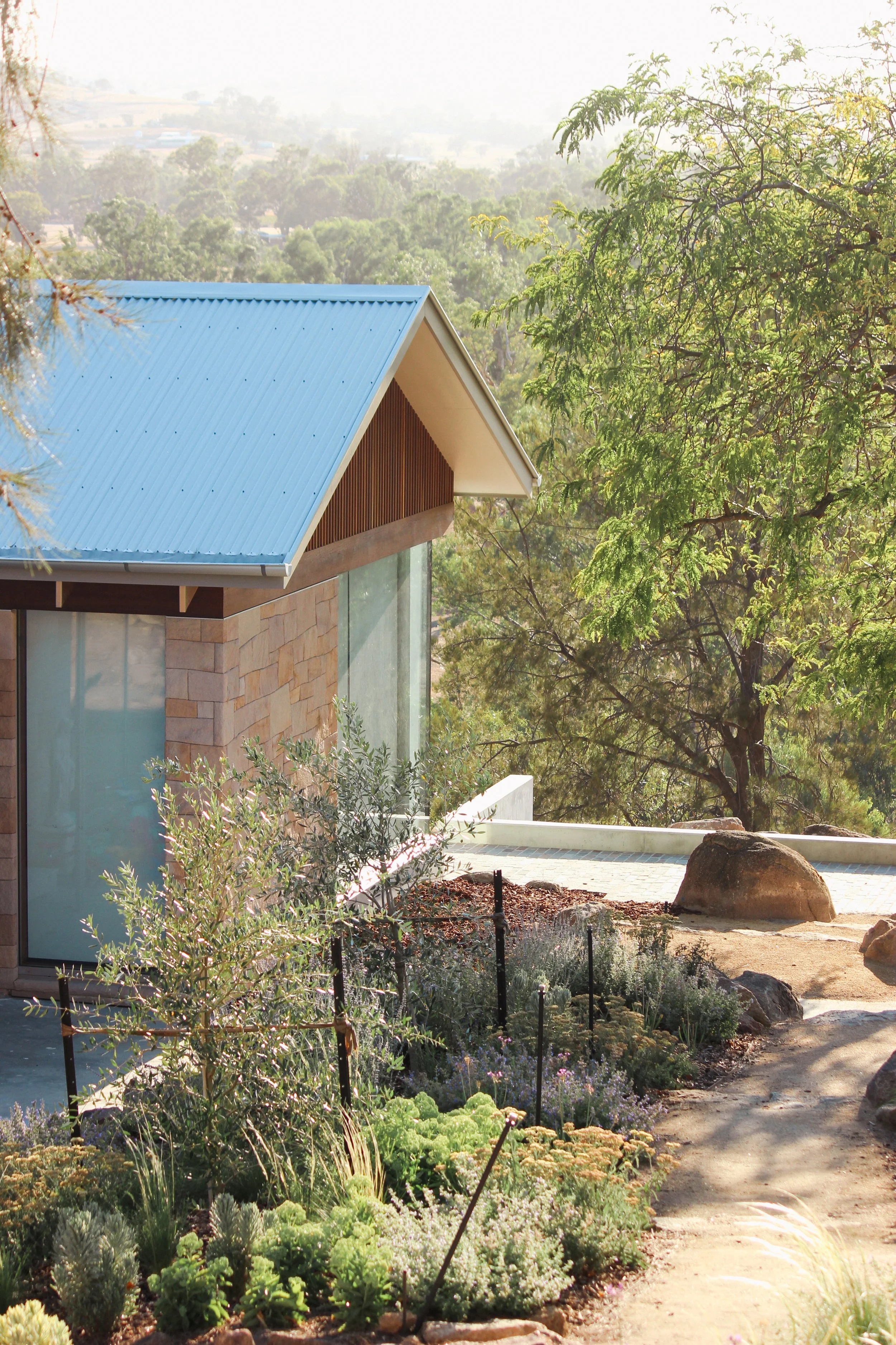 Landscape Design, Garden Design, Country house, regional New South Wales, naturalistic, drought resistant, olive tree, crushed granite path