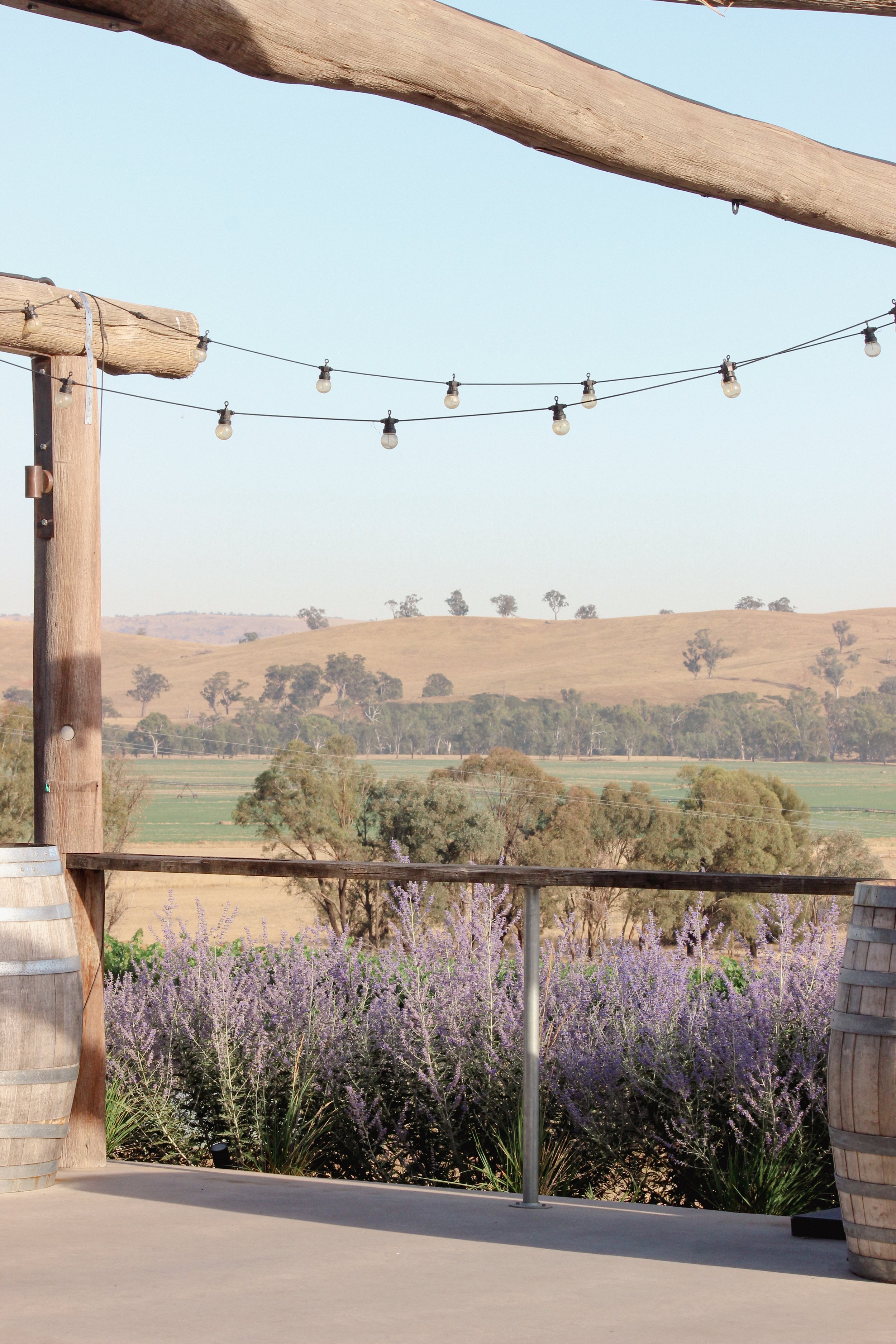 Garden design, landscape design, Russian sage, timber frame, festoon lights, rural garden, estate
