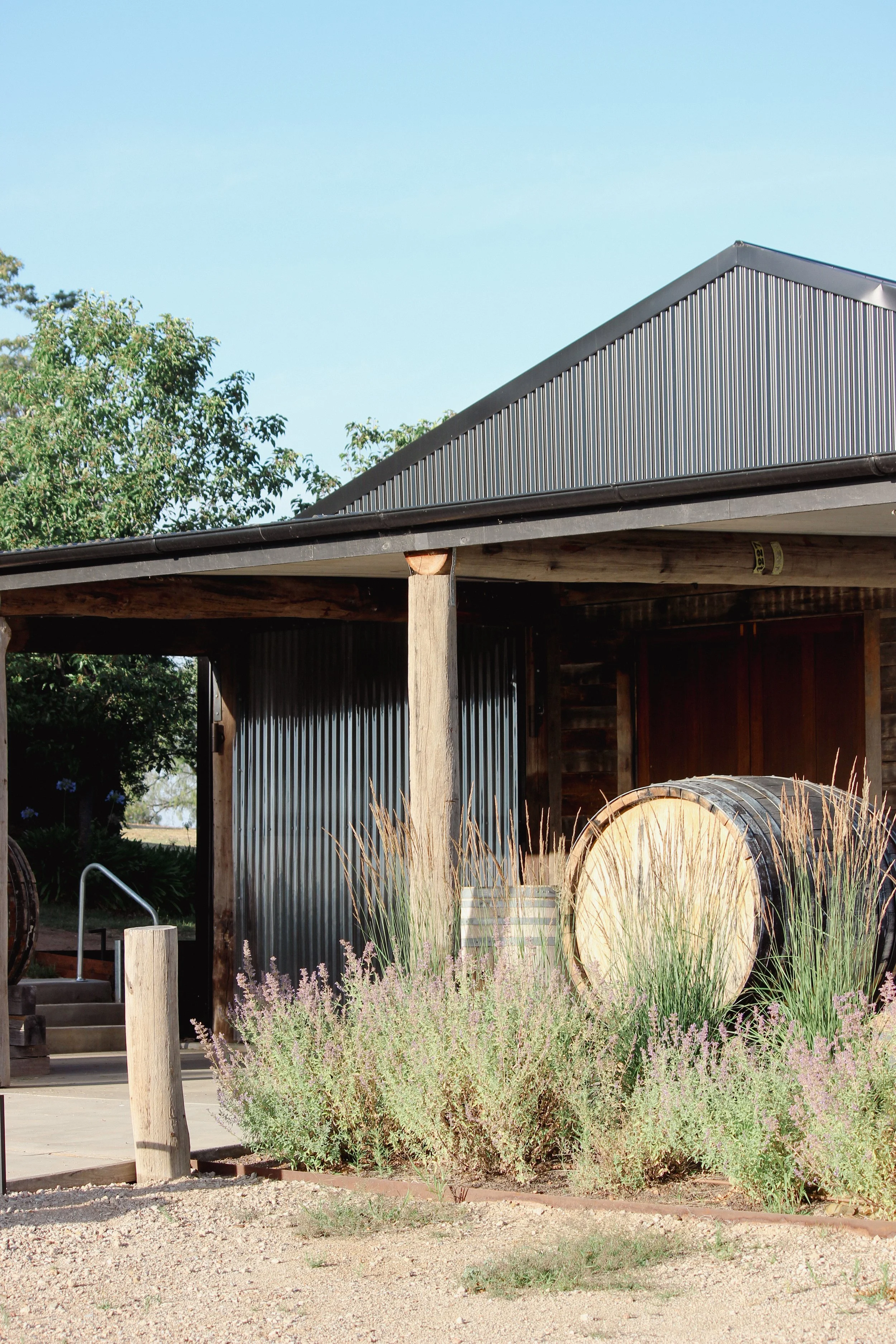 garden design, jardin, Russian sage, time frame, country garden, winery, Karl foerster, calamagrostis, rural garden