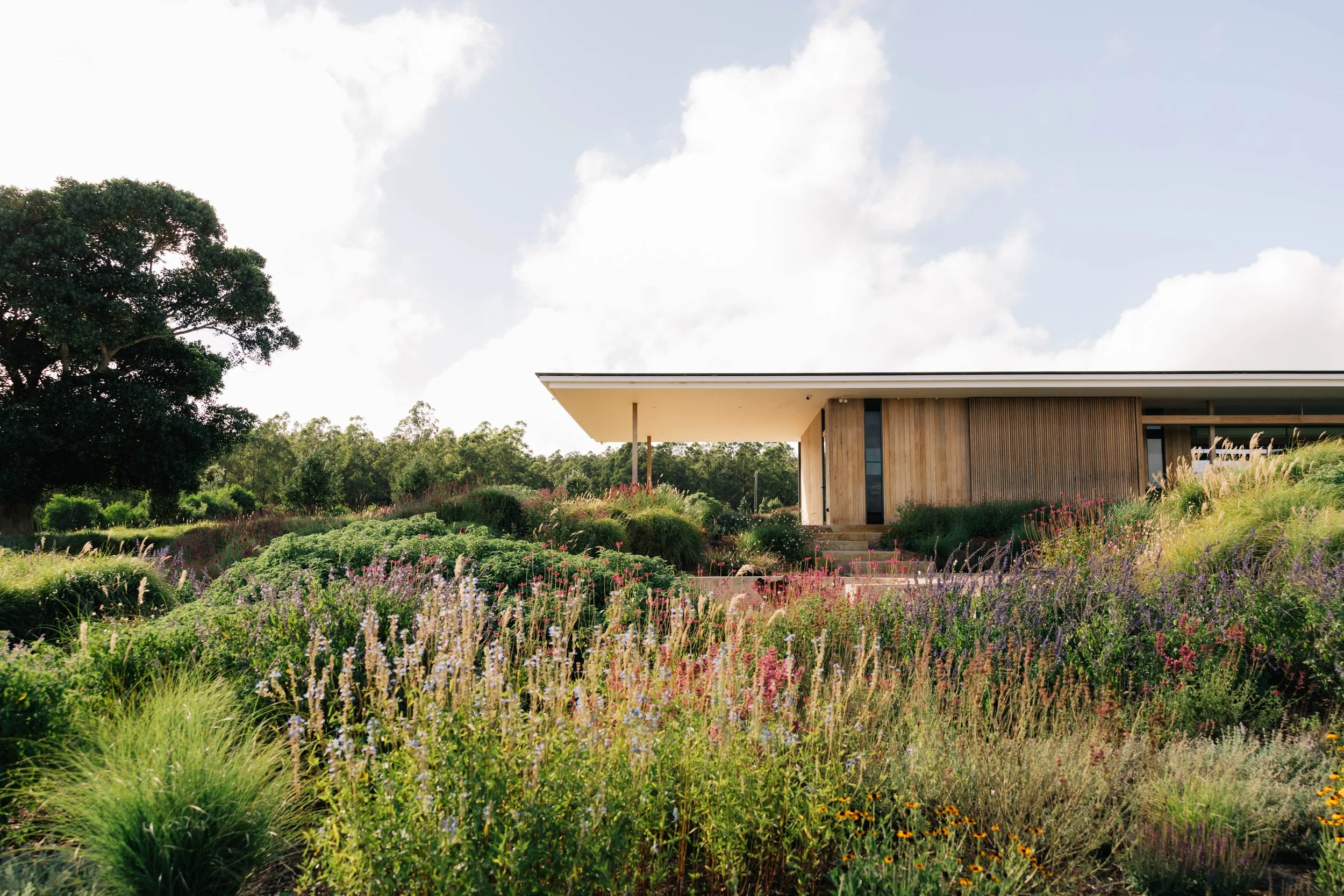 garden design, landscape design, country garden, naturalistic garden, perennials, modern architecture, perennial garden