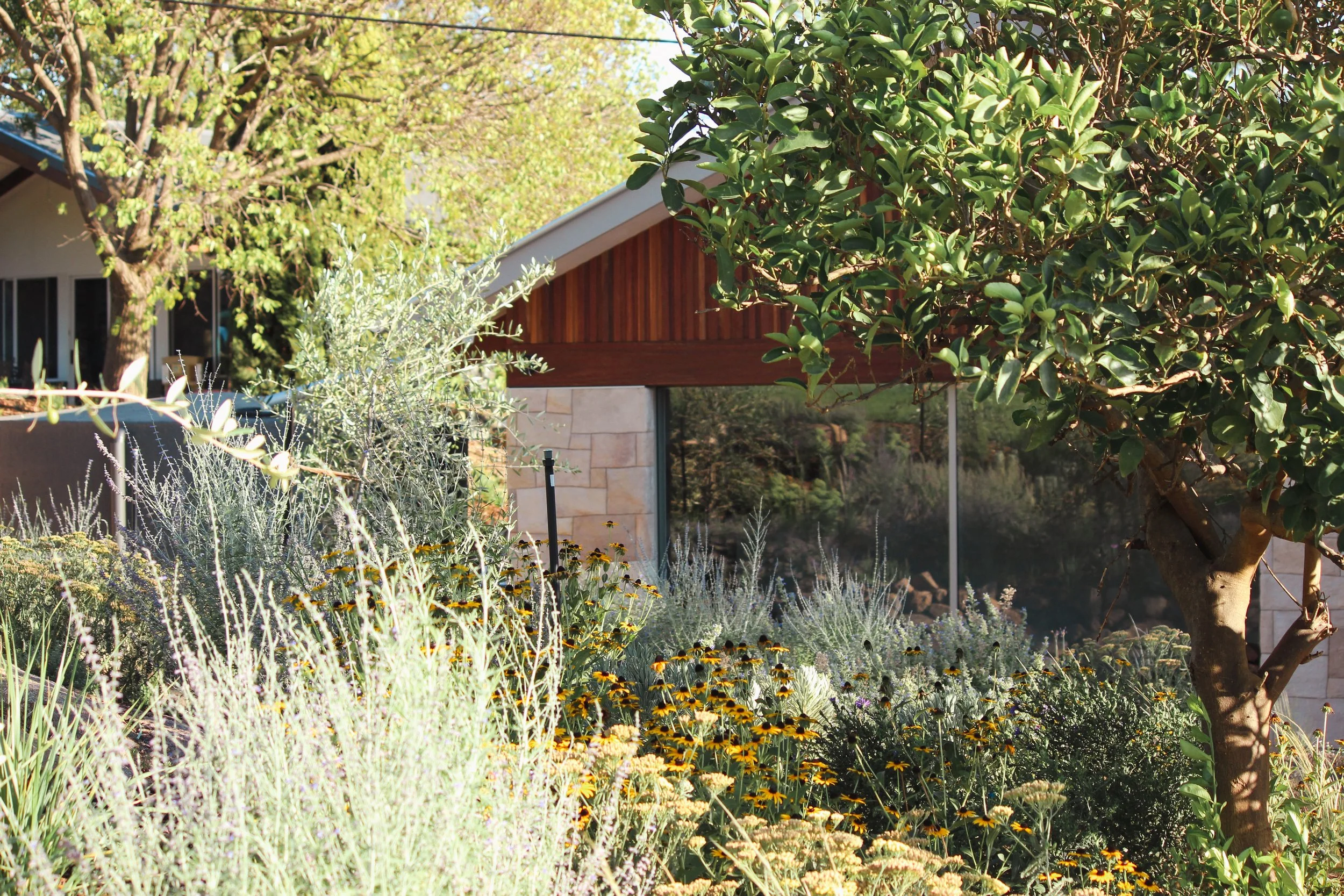 garden design, landscape design, country garden, naturalistic garden, perennials