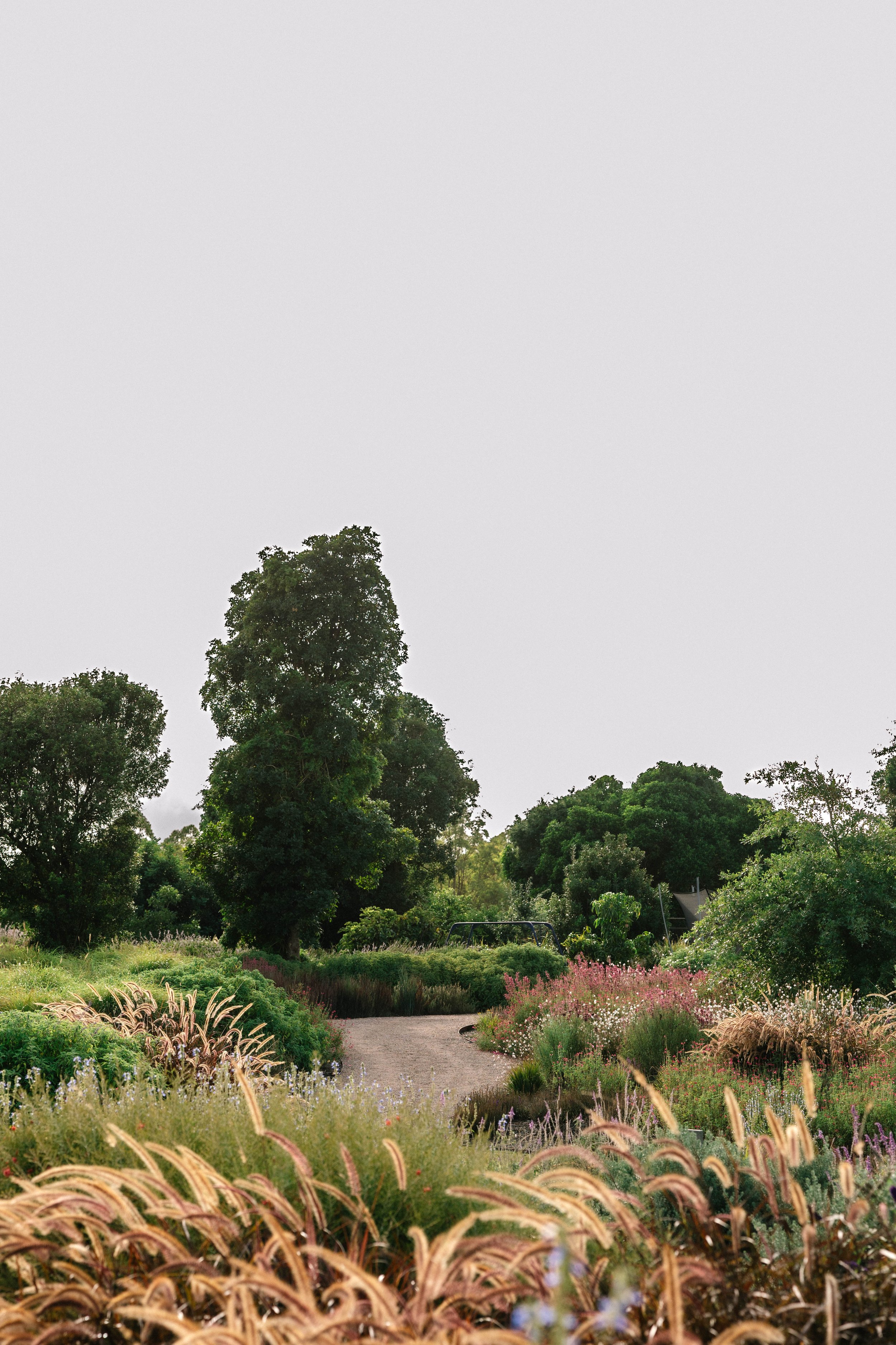 garden design, landscape design, country garden, naturalistic garden, perennials