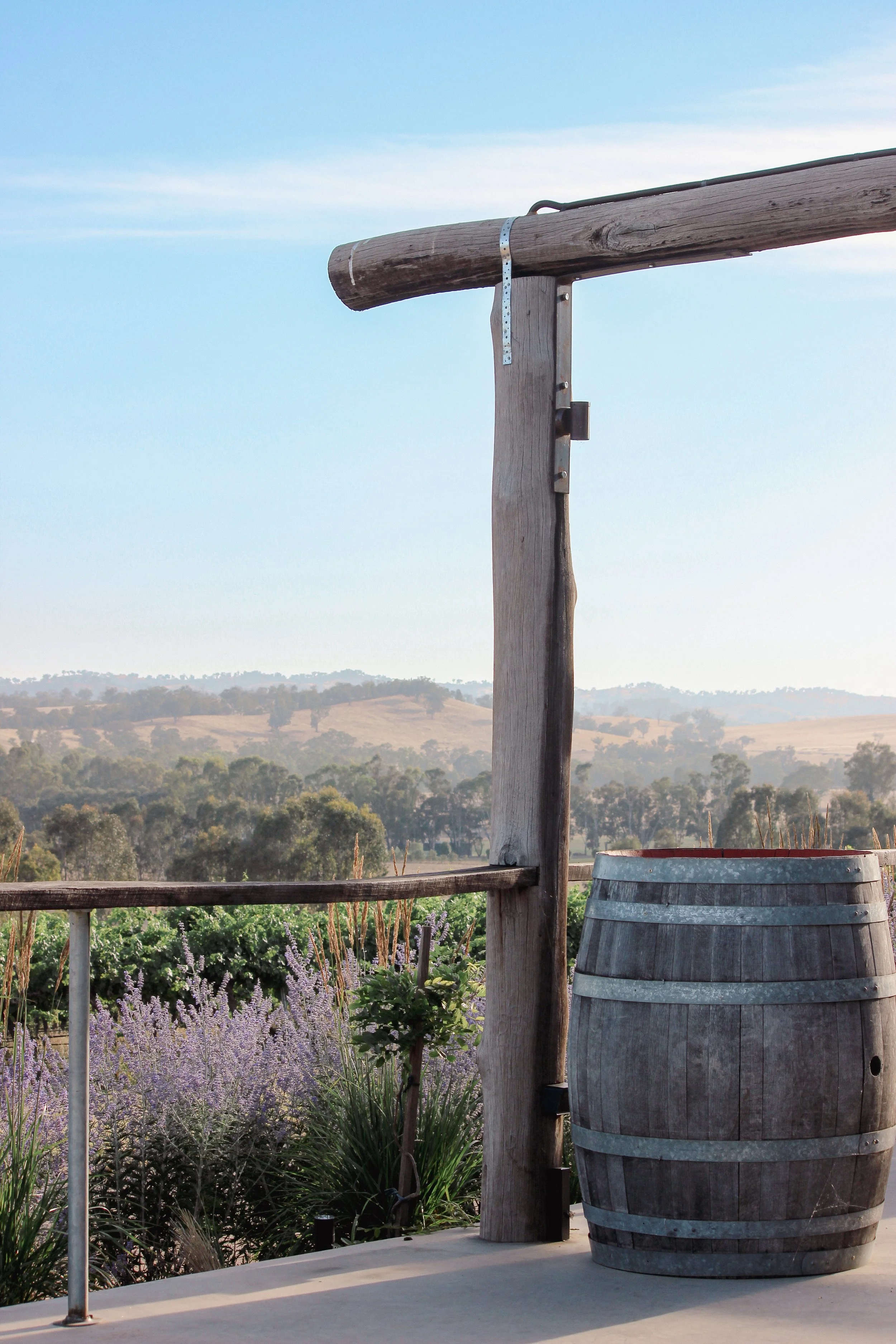 Garden design, landscape design, Russian sage, timber frame, festoon lights, rural garden, estate, winery
