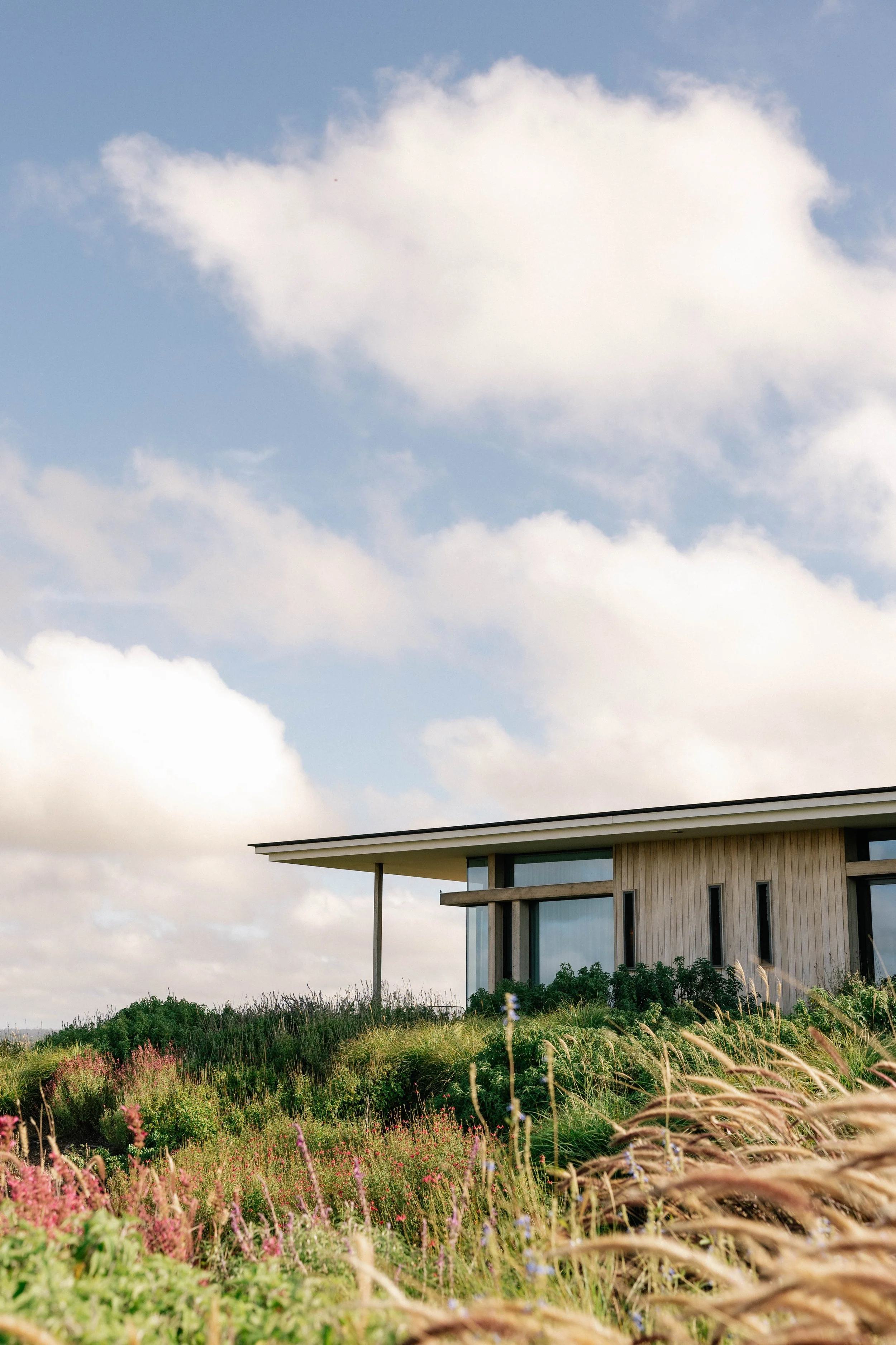 garden design, landscape design, country garden, naturalistic garden, perennials