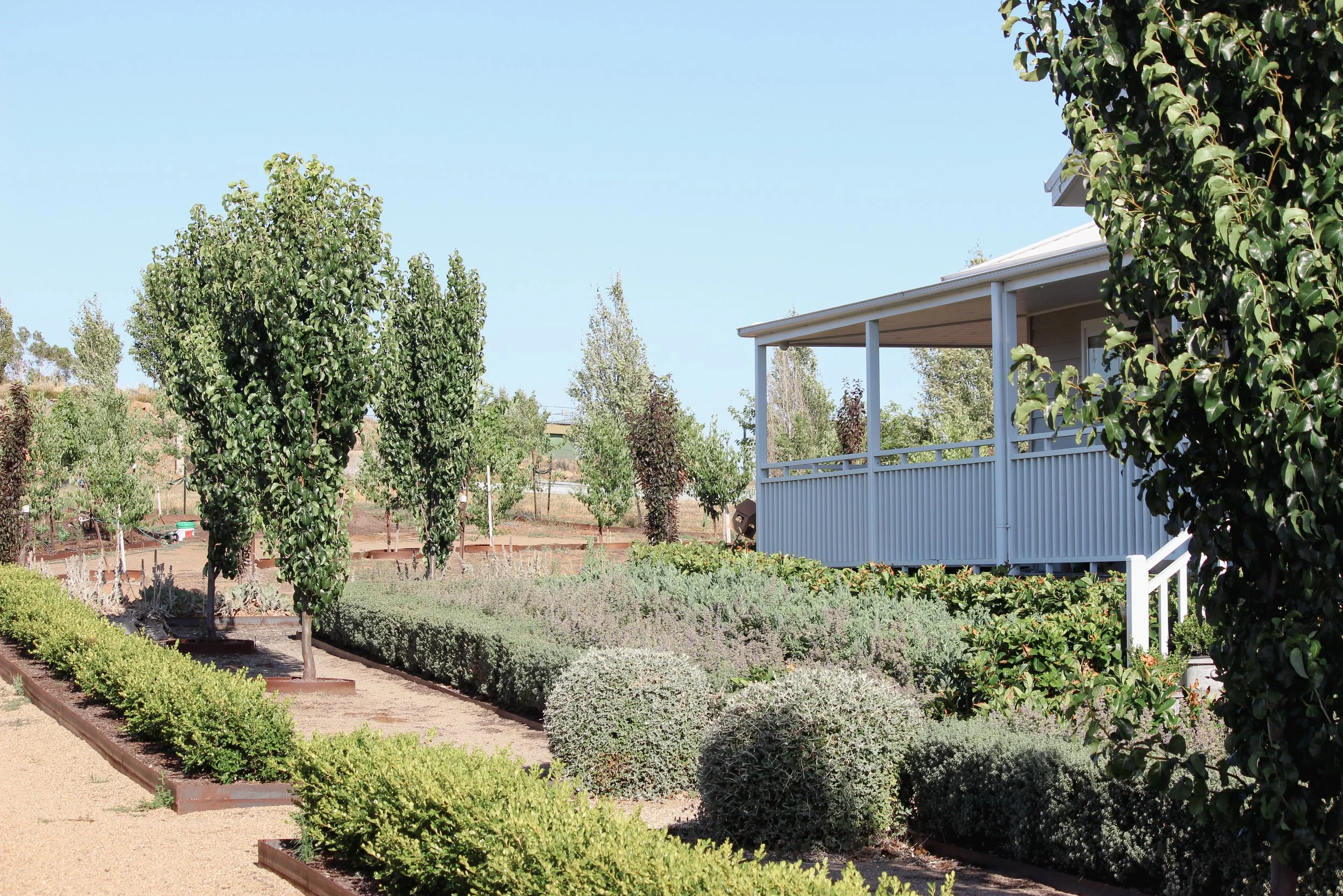 Landscape Design, Garden Design, Country house, regional New South Wales, naturalistic, drought resistant