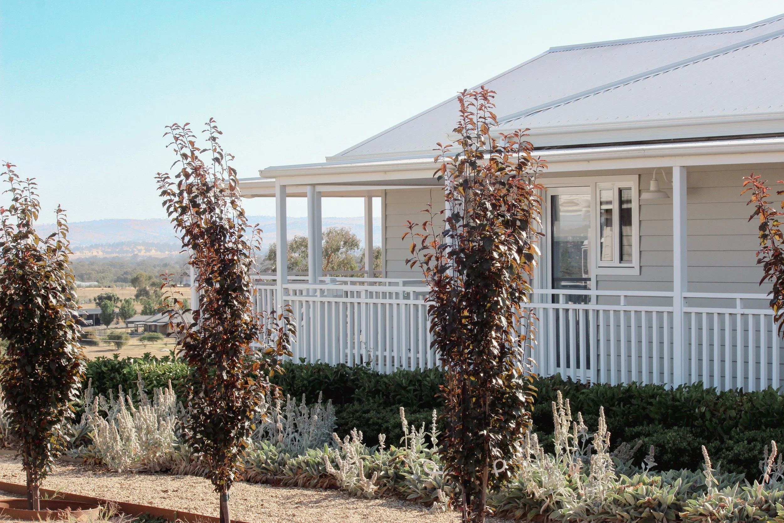 Landscape Design, Garden Design, Country house, regional New South Wales, naturalistic, drought resistant