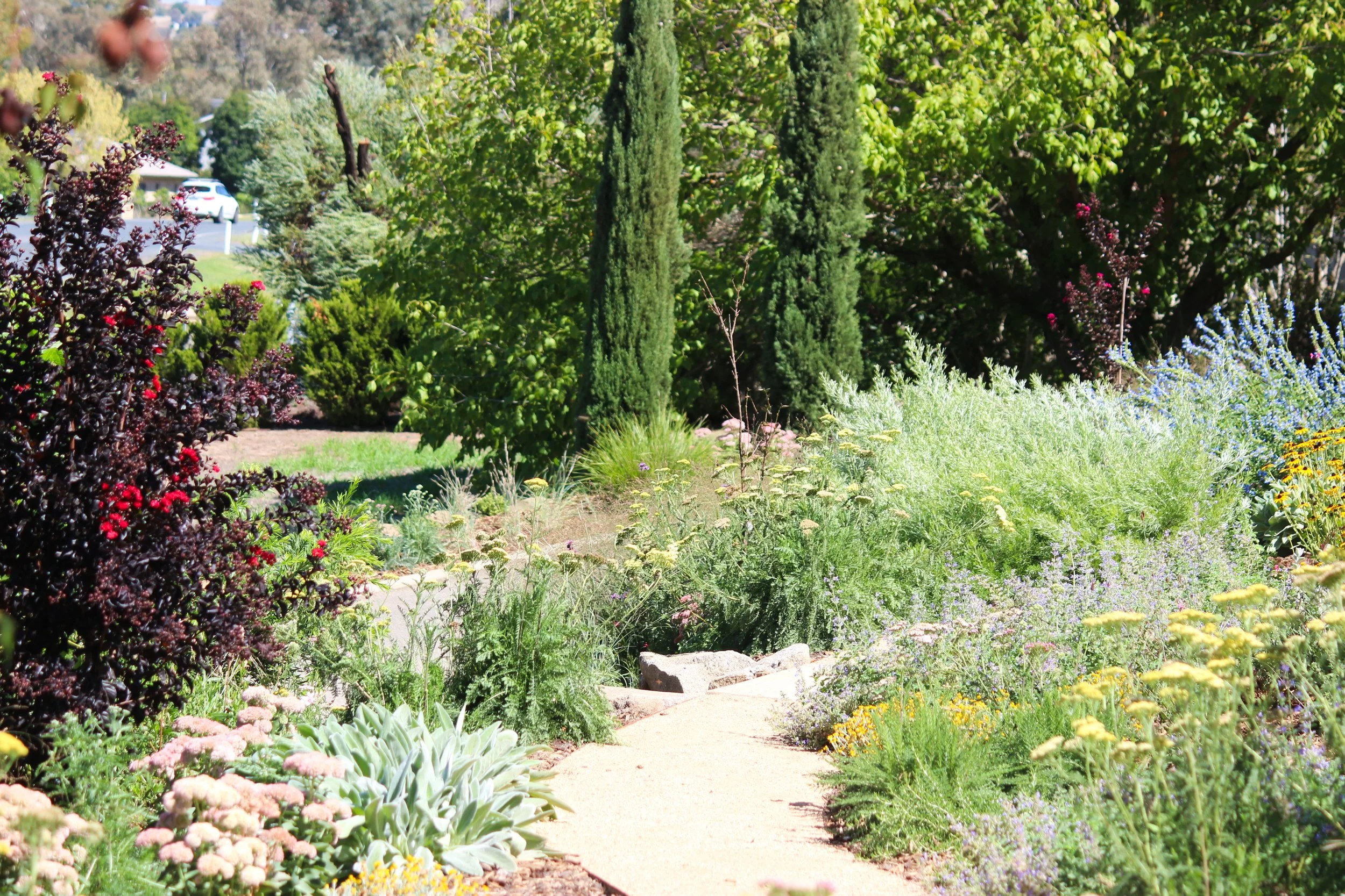 naturalistic garden design, rural garden, colourful perennial garden, crushed granite path, catmint, rudbeckia, perennial garden, landscape design