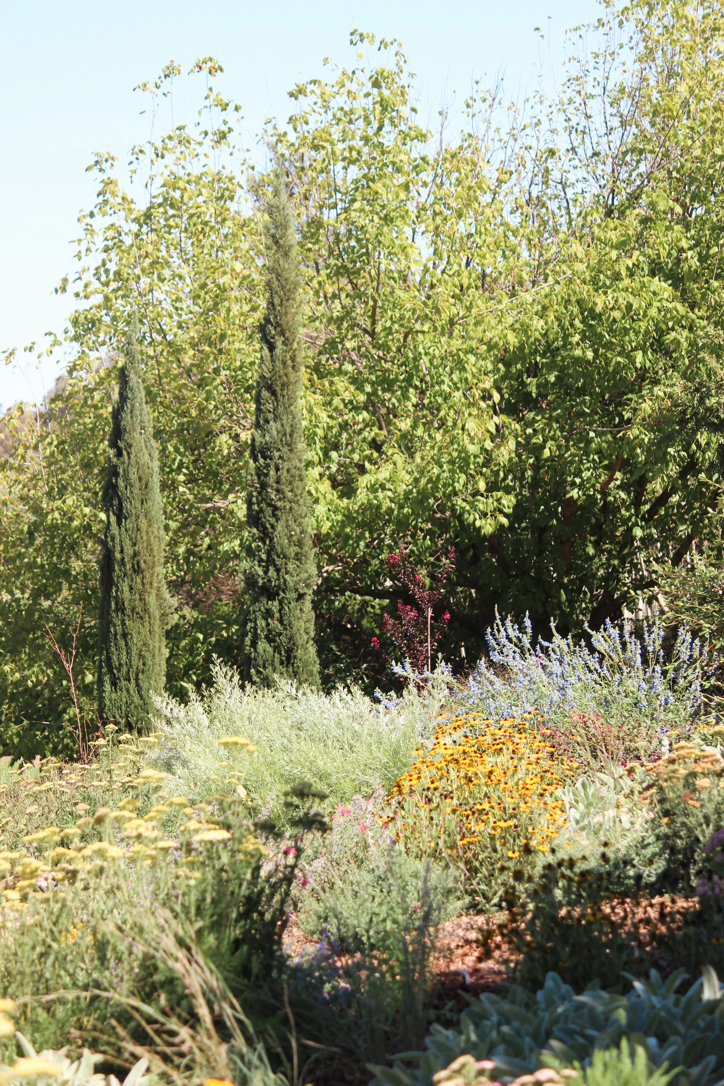 naturalistic garden design, rural garden, colourful perennial garden, crushed granite path, catmint, rudbeckia, perennial garden, landscape design, achillea