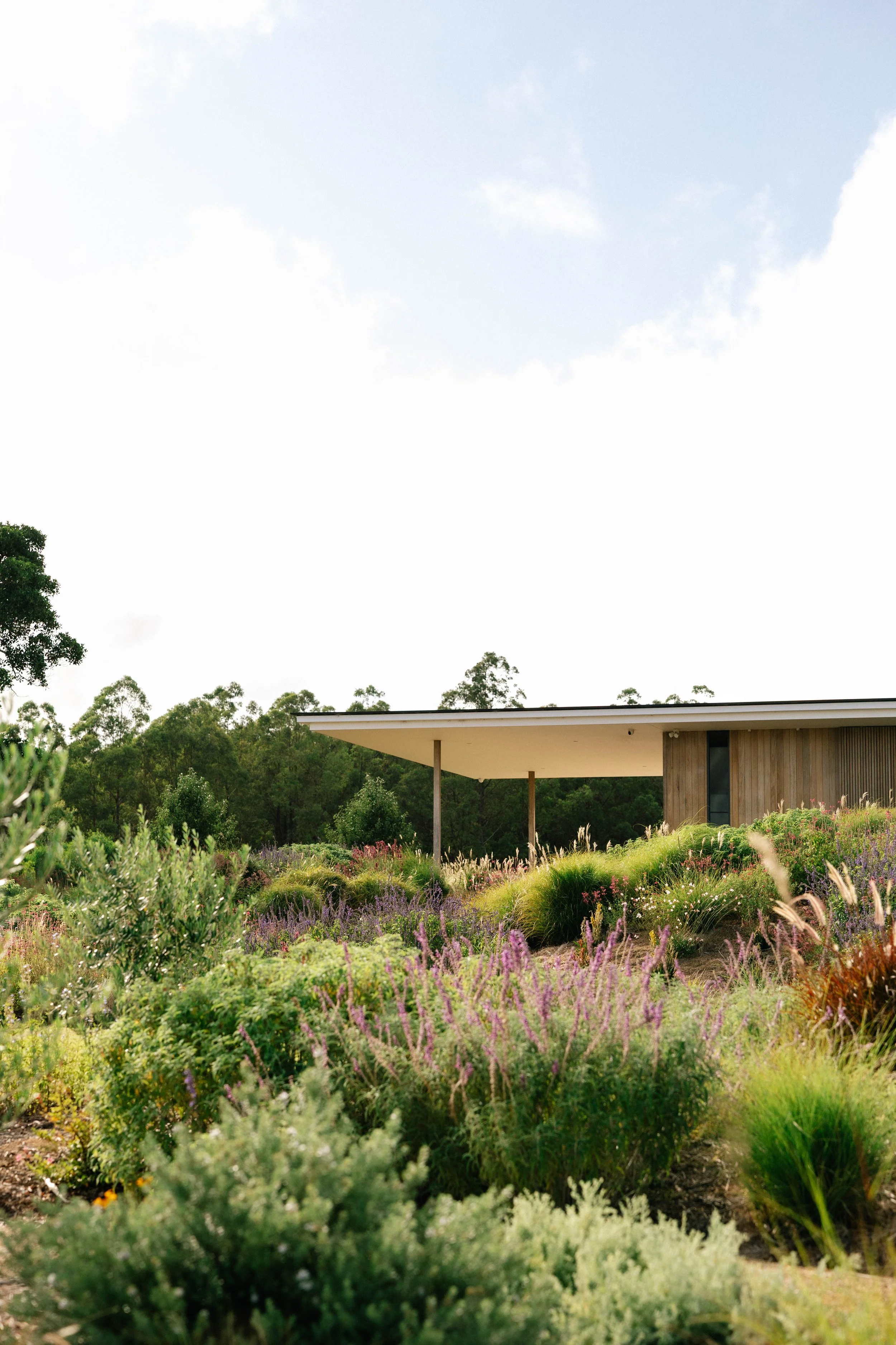 garden design, landscape design, country garden, naturalistic garden, perennials