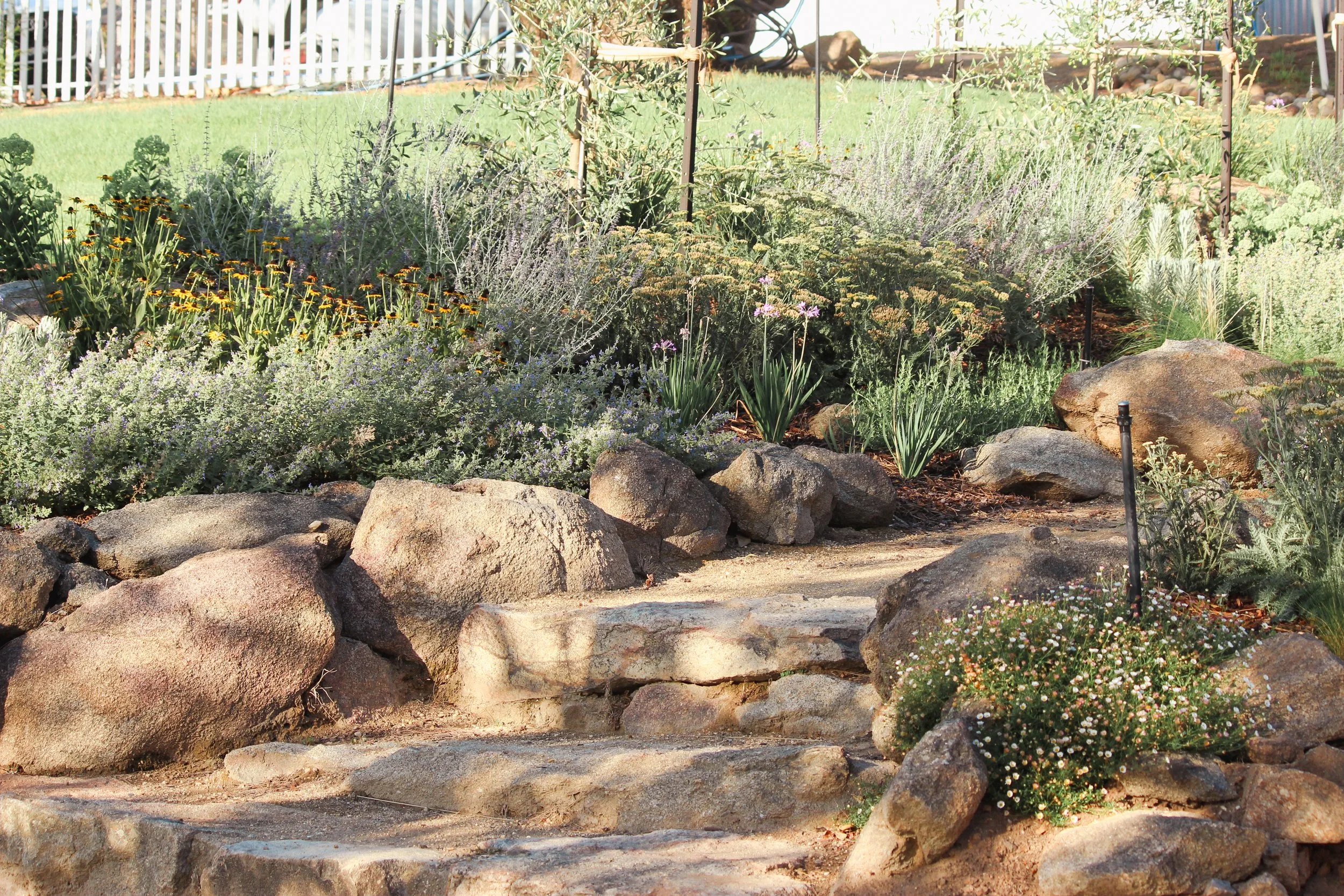 Landscape Design, Garden Design, Country house, regional New South Wales, naturalistic, drought resistant, stone steps