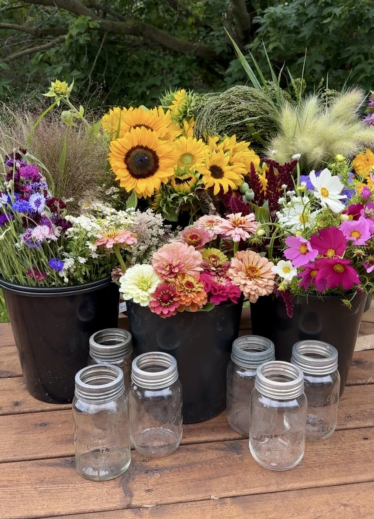 Bulk Flower Bucket (Available Late July into Aug)