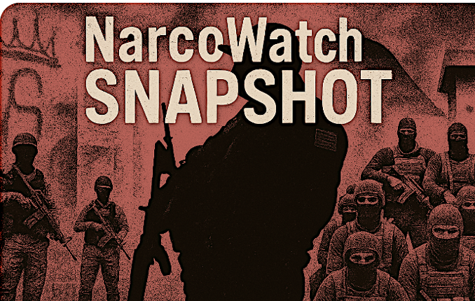 NarcoWatch - 30 January 2026