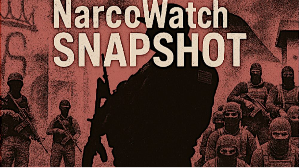 NarcoWatch - 13 May 2026