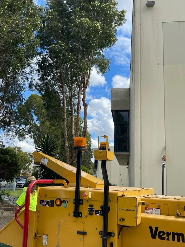 Yellow industrial equipment labeled "Vermeer" next to a white building with trees and a blue sky in the background.