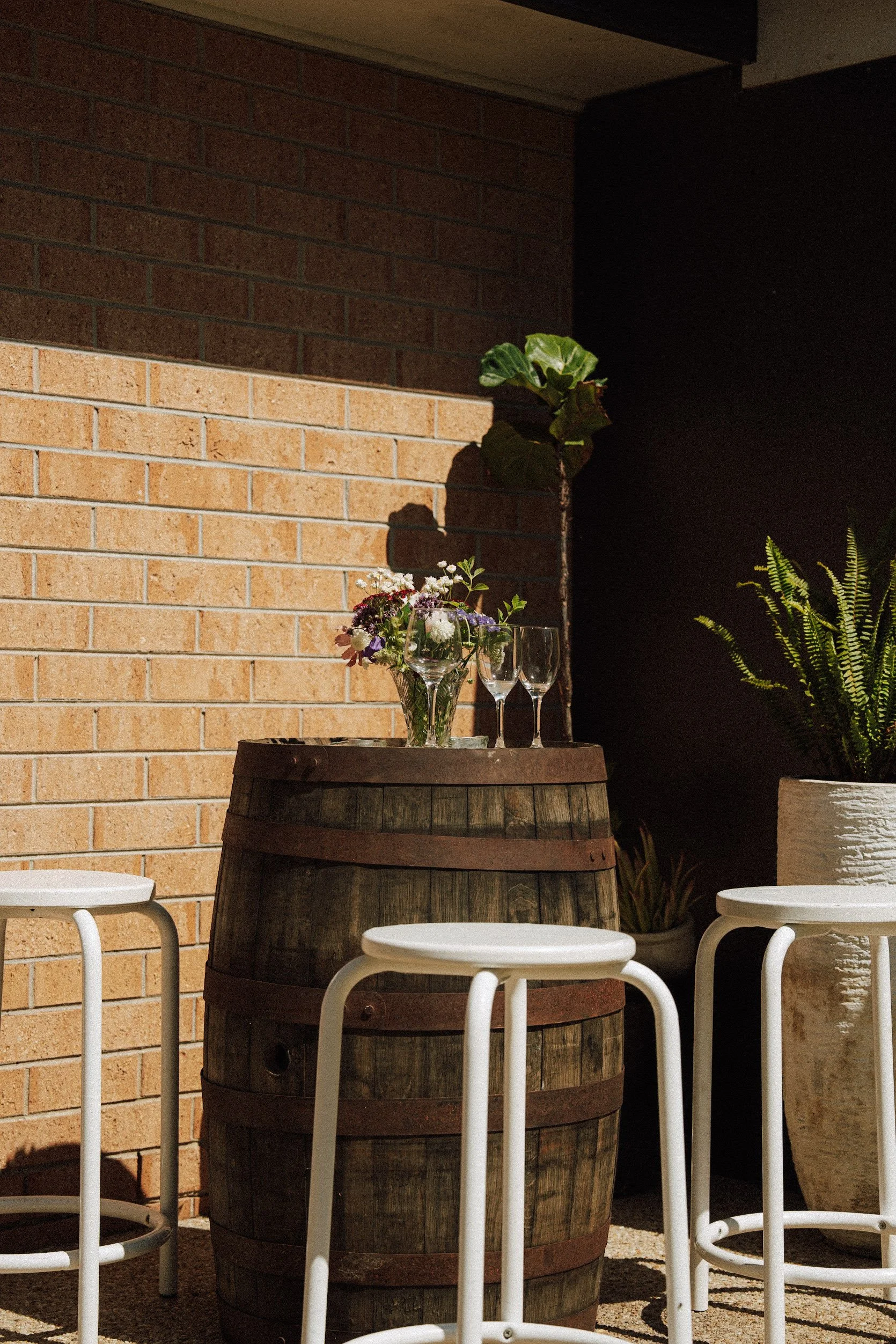 Carolyn and Bruce Final Gallery-025.jpg