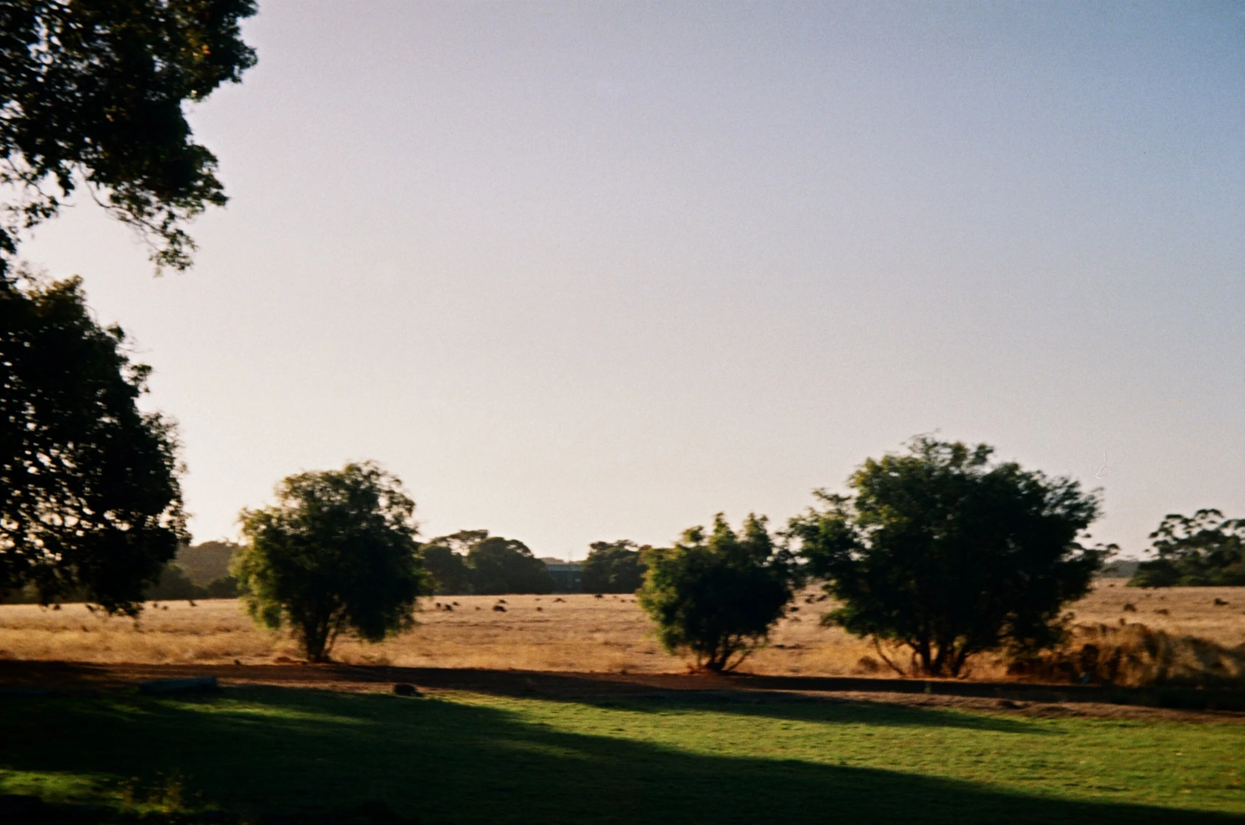 04900022.JPG