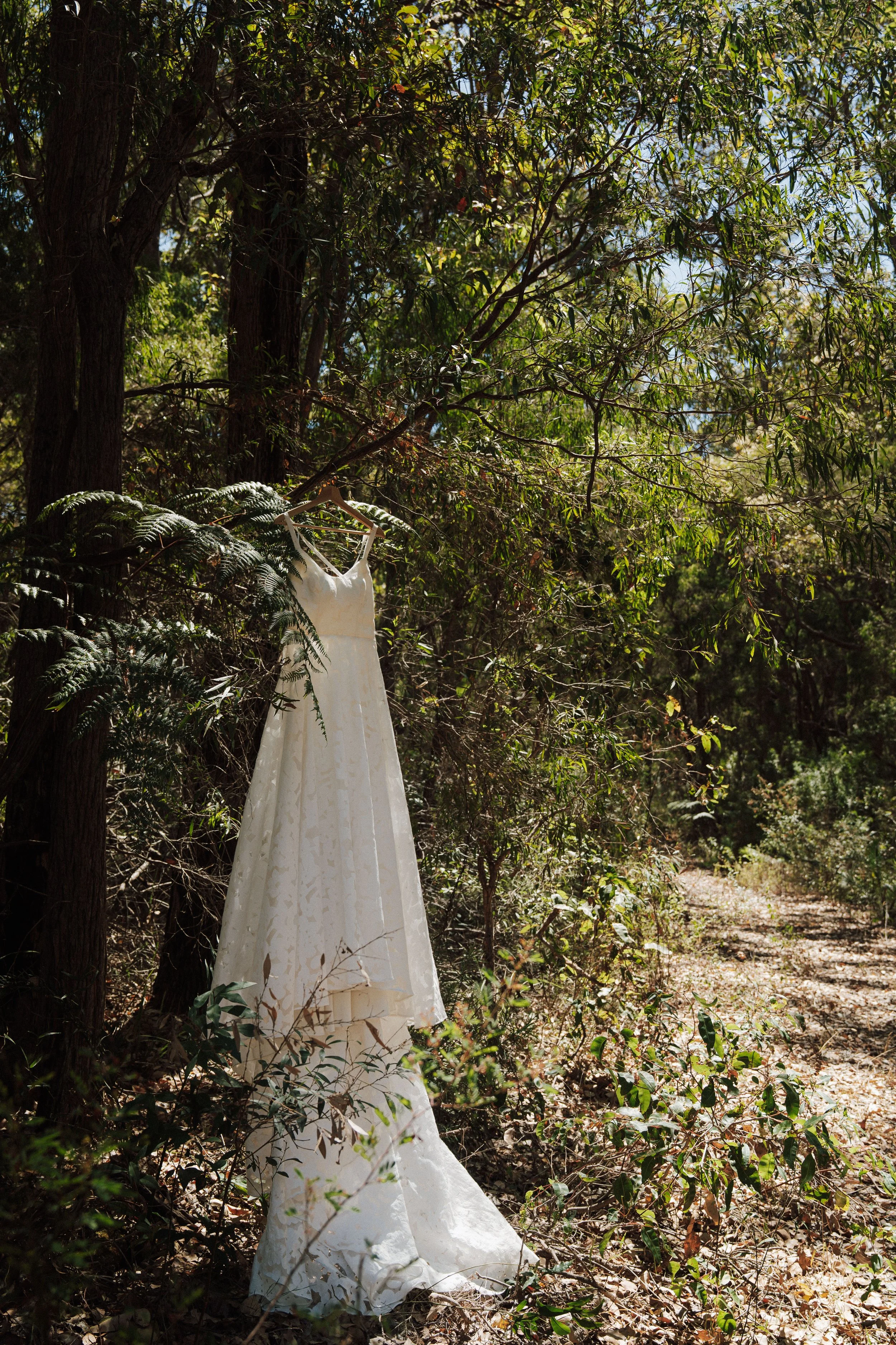 Georgia + Lachie's Gallery-21.JPG