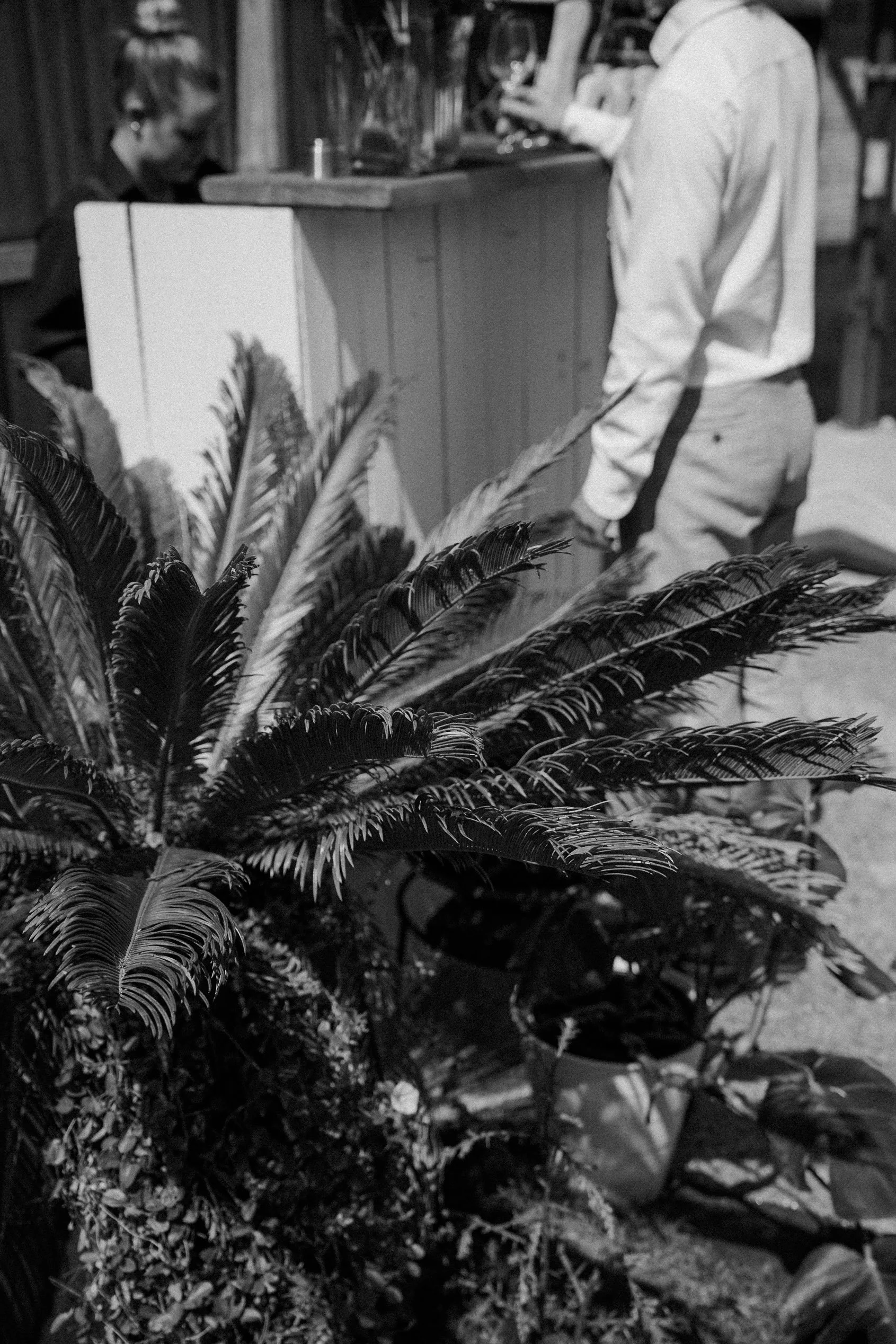 Carolyn and Bruce Final Gallery-014.jpg