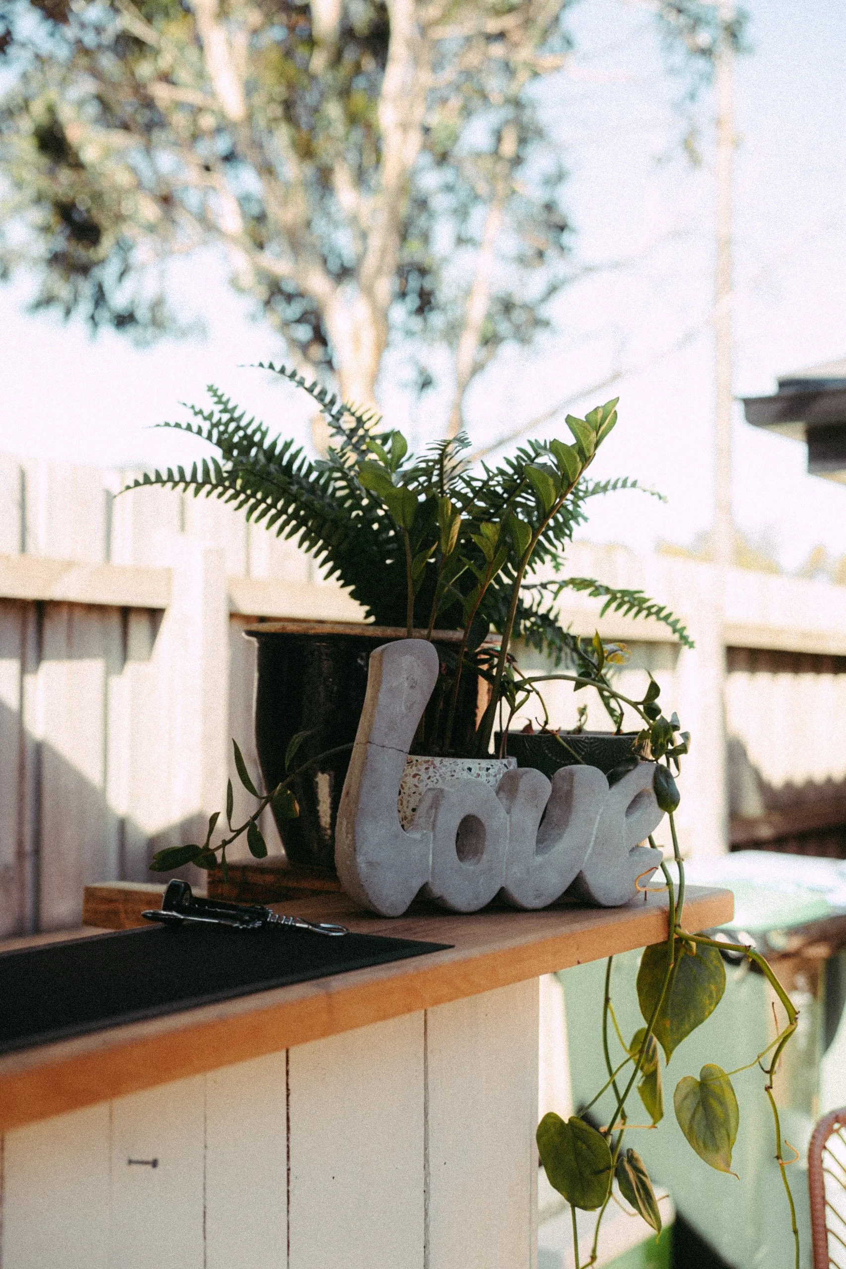 Carolyn and Bruce Final Gallery-202.jpg