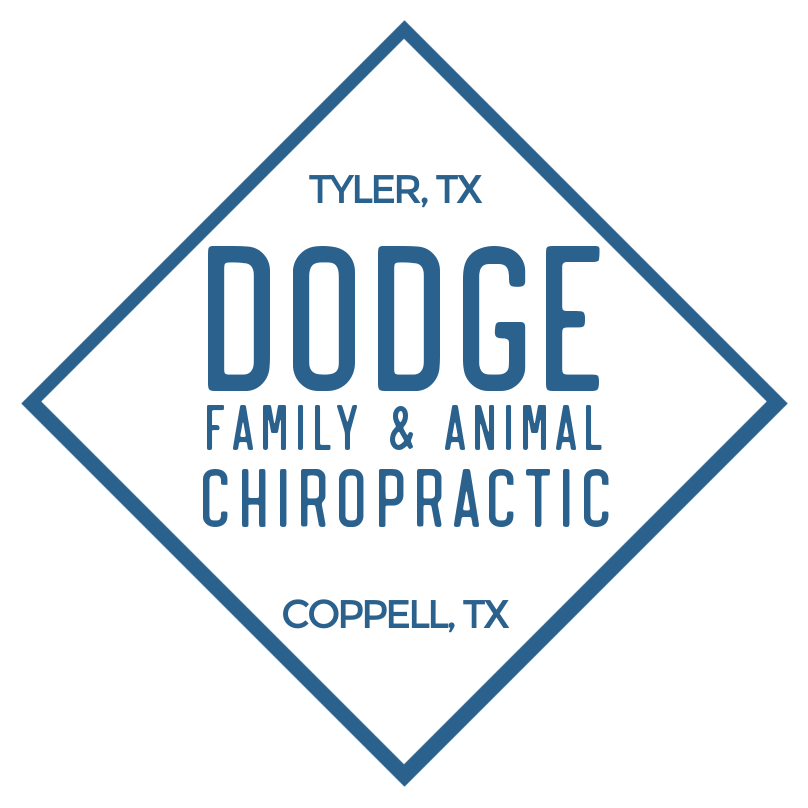 Dodge Family &amp; Animal Chiropractic