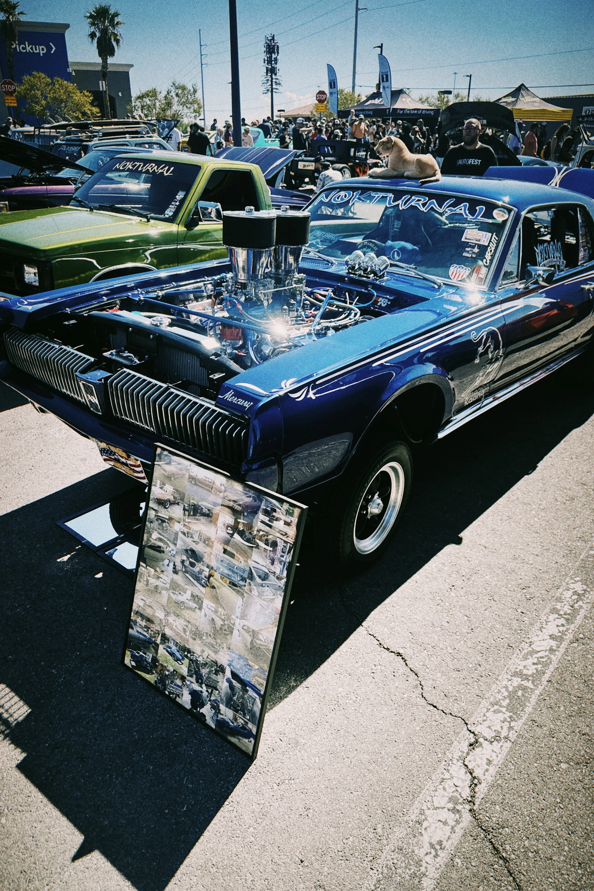 IMG_7252.jpeg