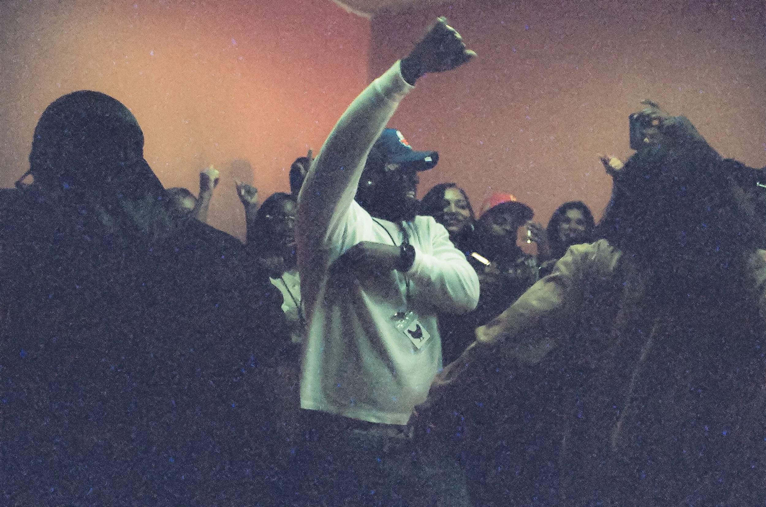 CHICKENWRAP BY DSMITH-04.jpg