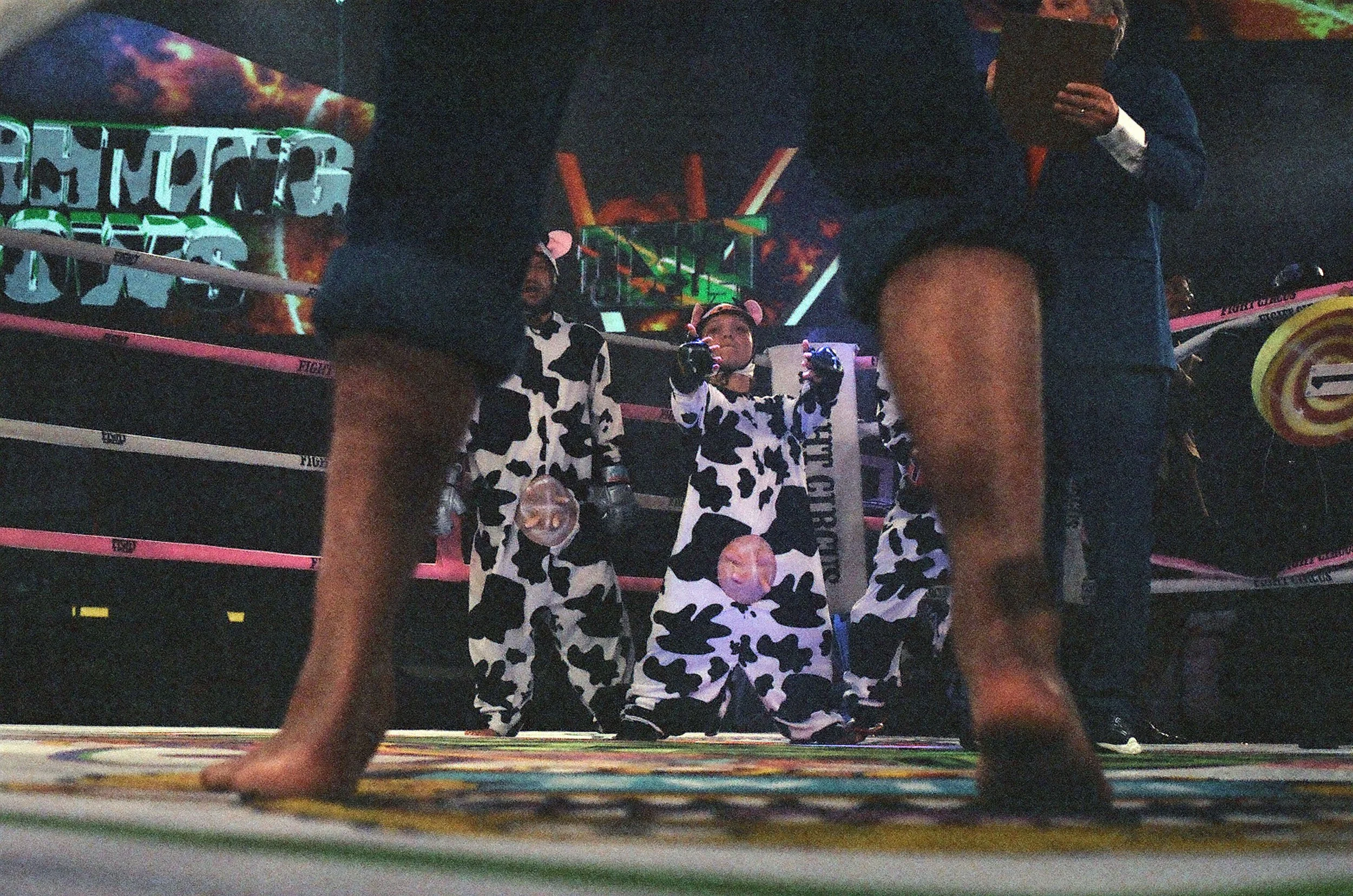 81900021.jpg