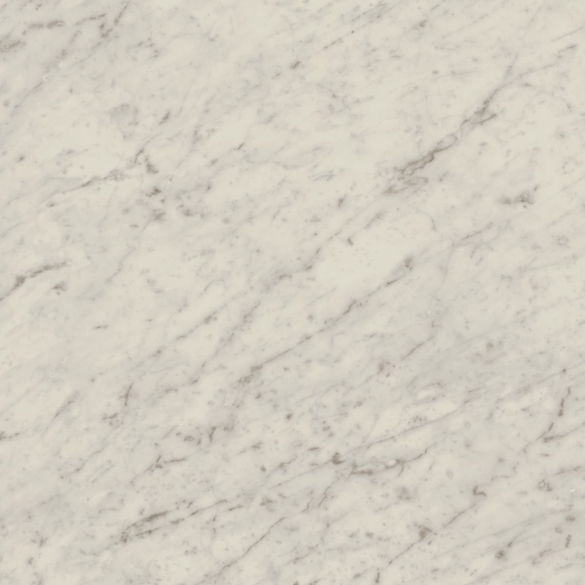 marble-look-carrara-tile-porcelain.jpg
