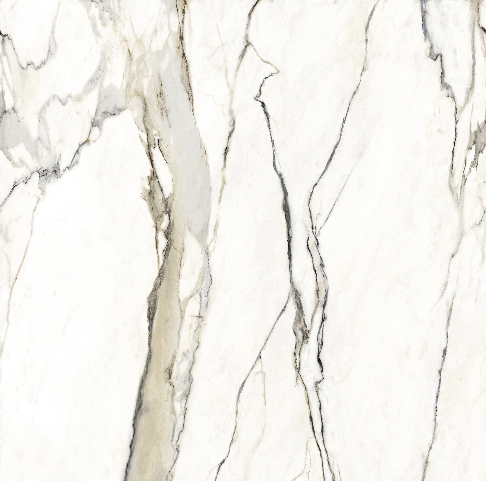 gold-calacatta-porcelain.jpg