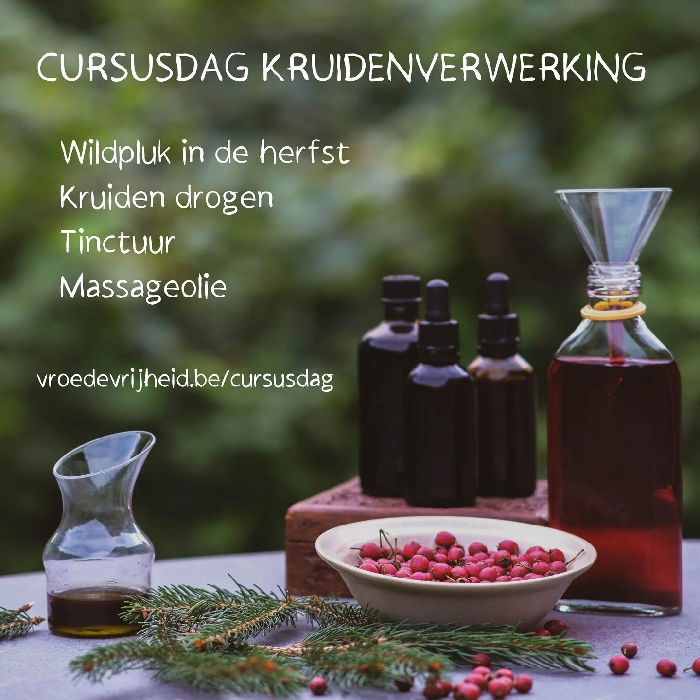 🌿 Cursusdag Kruidenverwerking 🌿
 
 
🌰 in combinatie met een wildpluk wandeling 🌰

In de herfst?

Ja zeker! Kom met ons mee en ontdek de rijkdommen die de natuur in dit seizoen te bieden heeft.

 ~Naalden ~Vruchten ~Zaden ~ Wortels ~

In de voormi