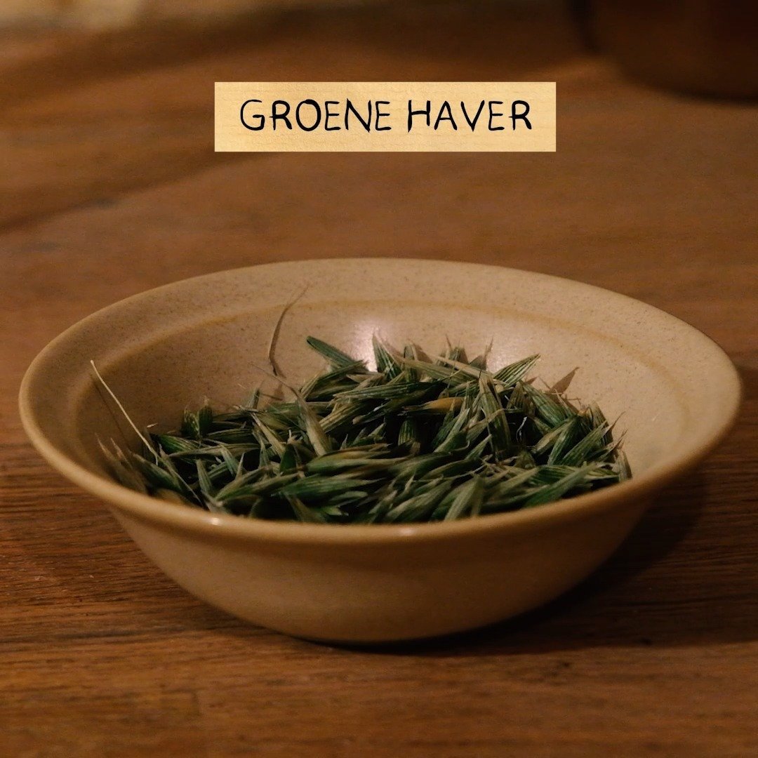 ~Groene haver~

Havervlokken kennen de meeste mensen wel.

Maar wie heeft er al gehoord van groene haver? 

In plaats van te wachten tot de havergranen rijp zijn, wordt groene haver al eerder geoogst. 

Slechts een aantal dagen in het rijpingsproces 