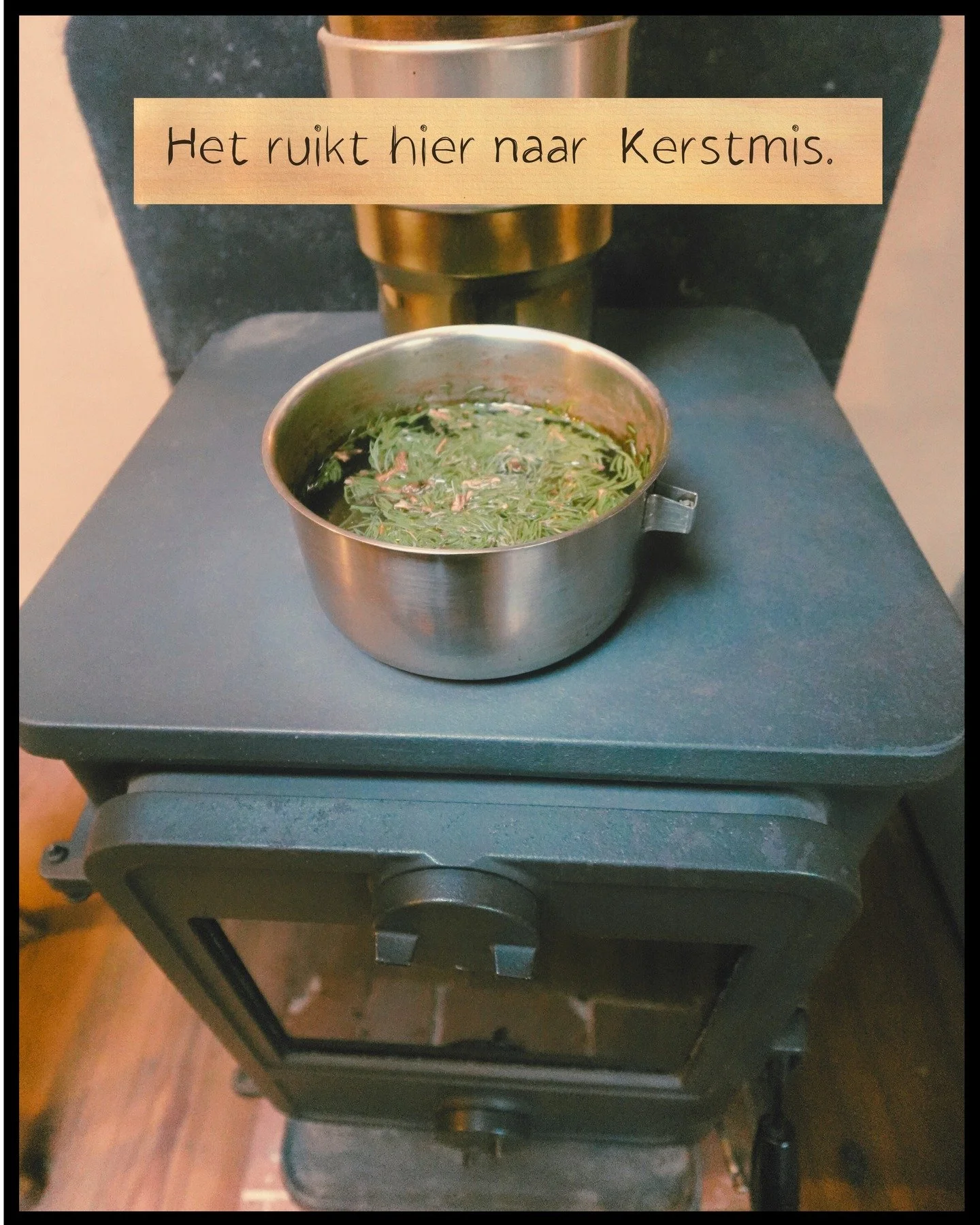 Heb jij geen echte spar als kerstboom dit jaar? 🌲
Hier is een leuke manier om toch de kerstgeur in huis te brengen. 

➡ sparrennaalden fijnknippen in een pot met water
➡ langzaam laten verdampen op de kachel

(Je gebruikt best een oud potje. De spar