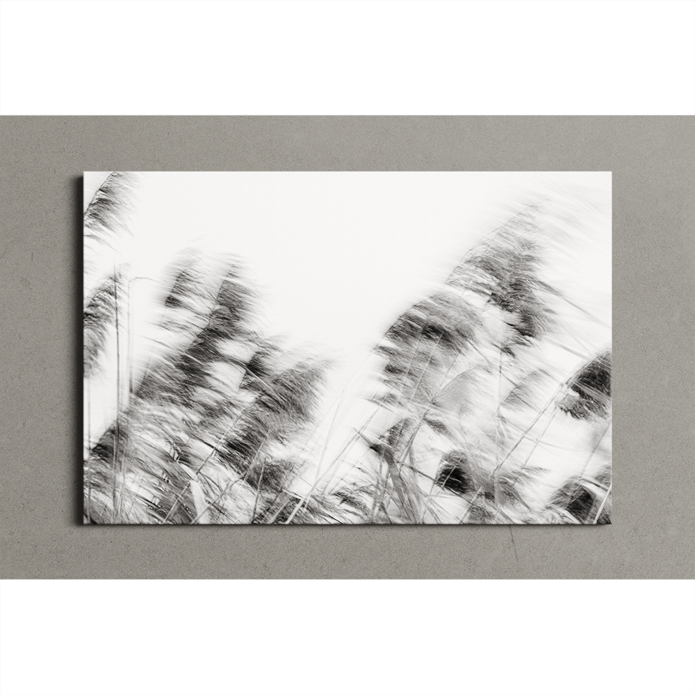 Moving reeds canvas.png