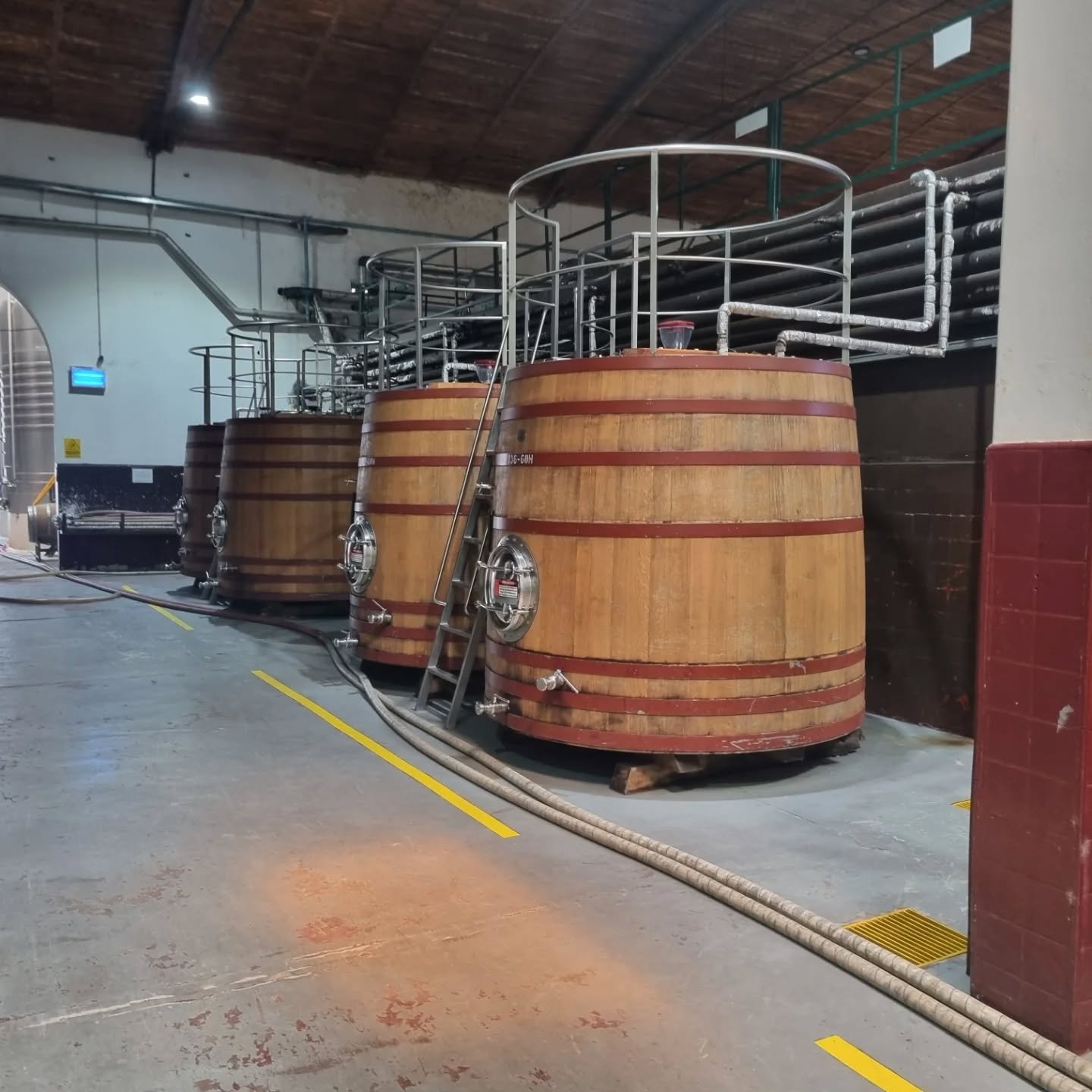 Wyck Estate Harvest Update 🍇🍷

On 18th October, we harvested every one of our Pinot Noir and Cab Noir grapes in a single, brilliant day &mdash; helped by many of you who joined us in the vineyard. Imperfect berries were sorted out as we picked, so 