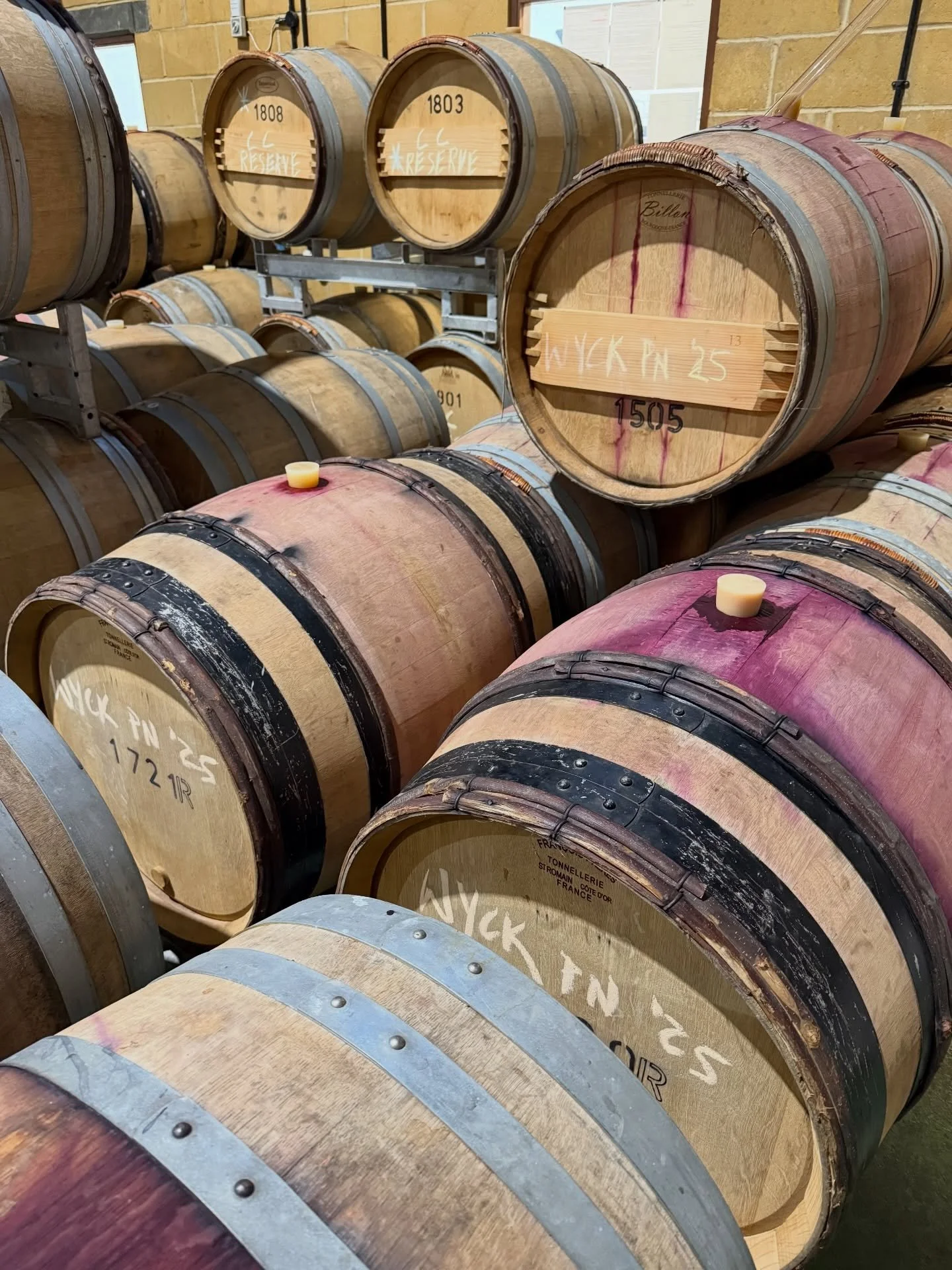 Yesterday we were very excited to visit Matt @litmuswines for the first tasting of our first vintage&hellip;it&rsquo;s just gone into barrels where it will sit for a year until it turns into something you&rsquo;ll want to have dinner with! Early indi