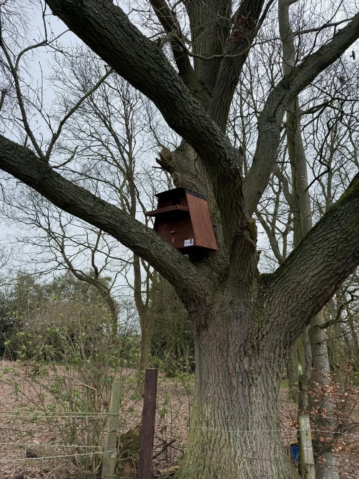 We&rsquo;re very excited to have had 4 owl boxes installed by @flos_fund overlooking the vineyard and garden&hellip;the owls are coming!! 🦉