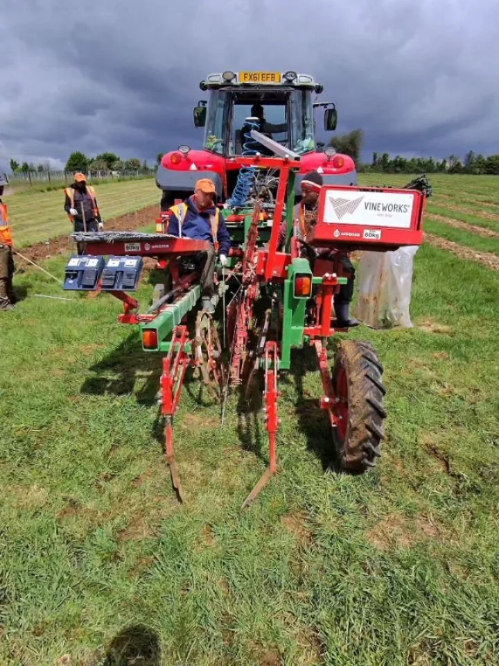 A few weeks ago we genuinely wondered what 2026 was going to look like for the vineyard after the frost damage.

So this week felt like a pretty big moment.

We planted 3,200 Cabaret Noir vines at The Wyck Estate, extending the vineyard into a comple