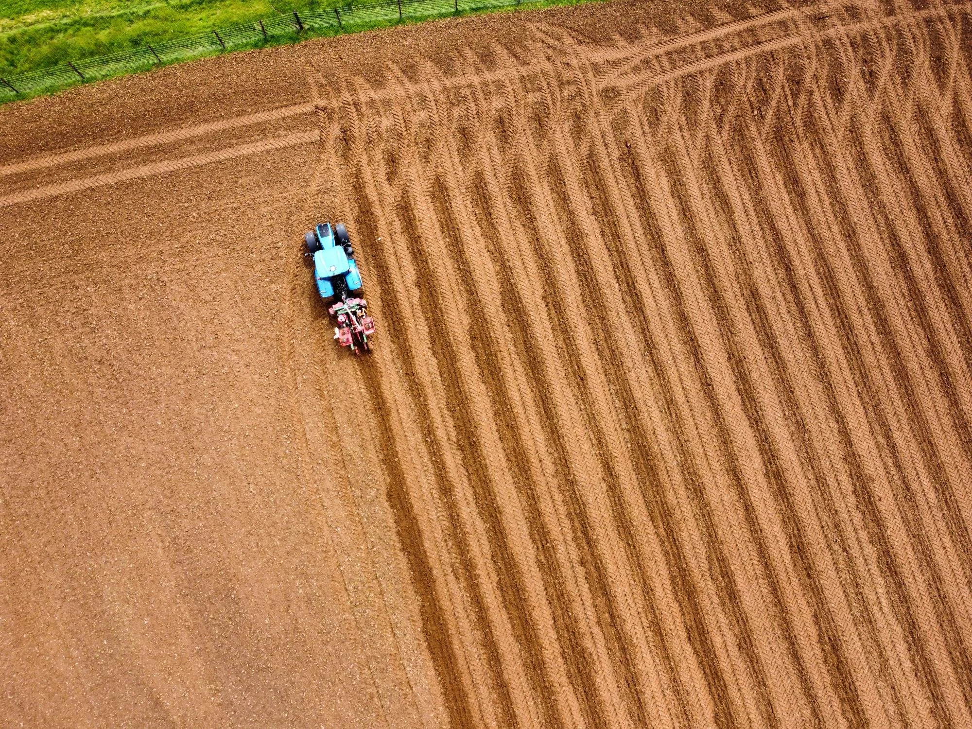 The Wyck Estate Vineyard drone.jpg