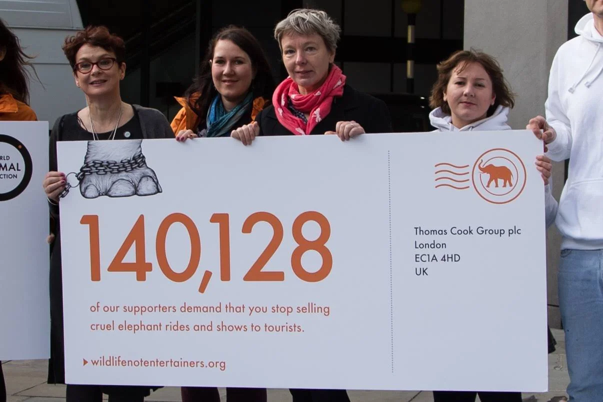 12188117_10153914100847697_8931328169771847398_o.jpg