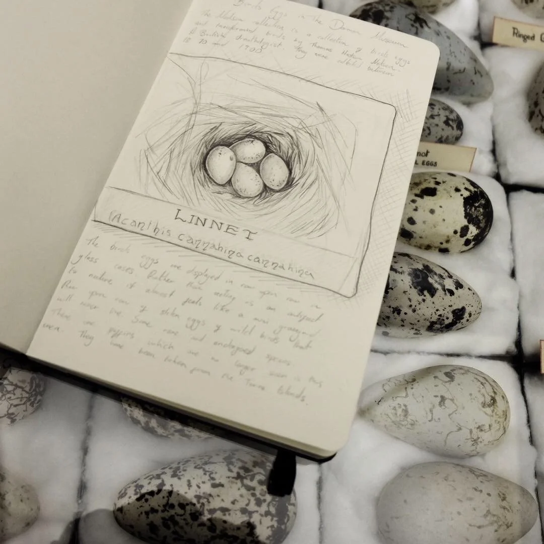 SKETCHES FROM A DISAPPEARING WORLD