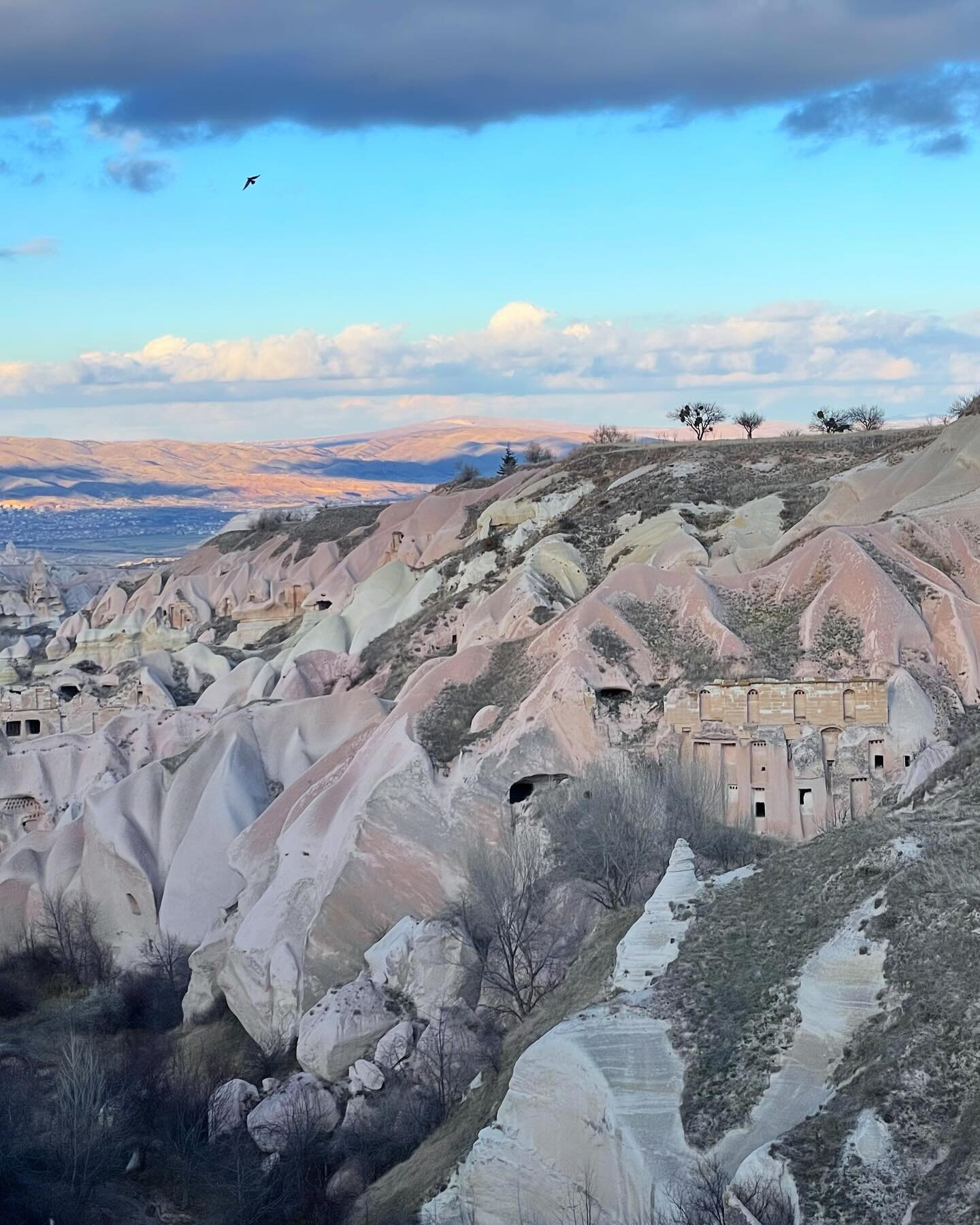 Istanbul - Cappadocia - Bodrum
.
#catsofistanbul #sketchbook #istanbul #cappadocia #turkey #ancientcity