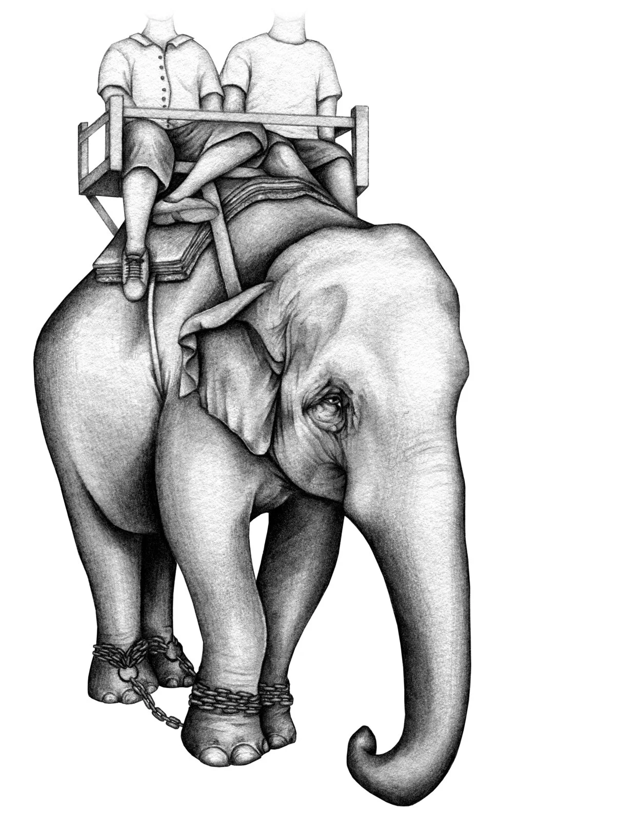 Elephant-ridden-amy-dover.jpg