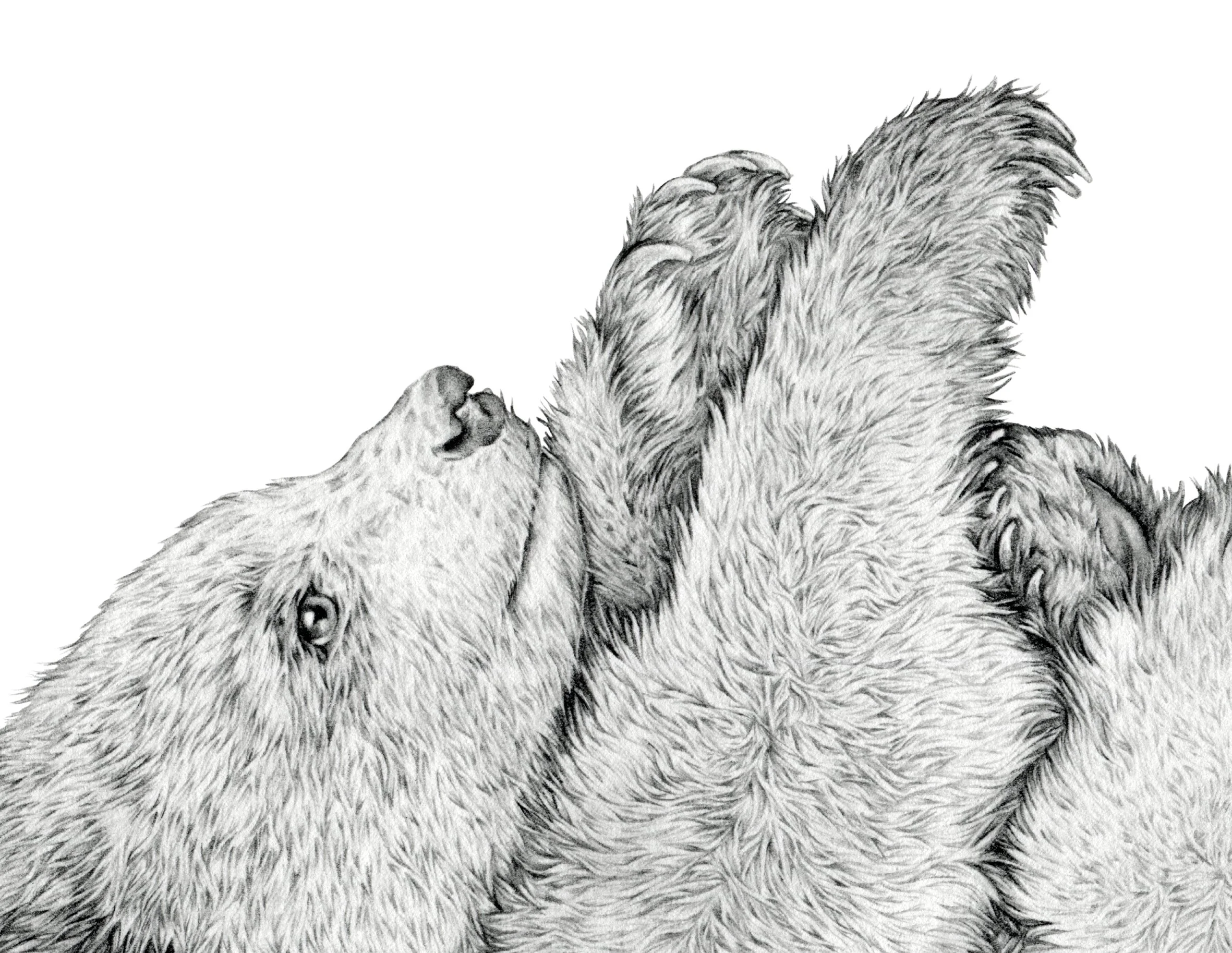 bear float-detail.jpg