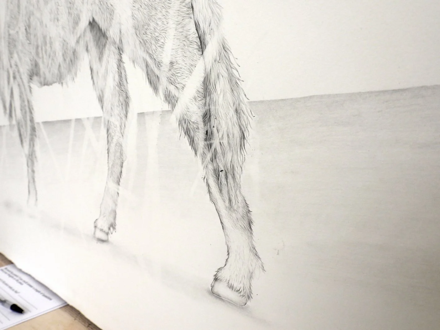 bison erased MAW-web2.jpg
