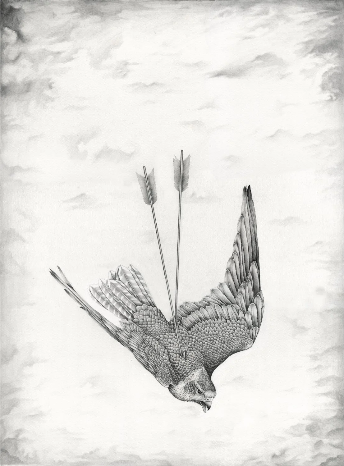 falcon-web.jpg