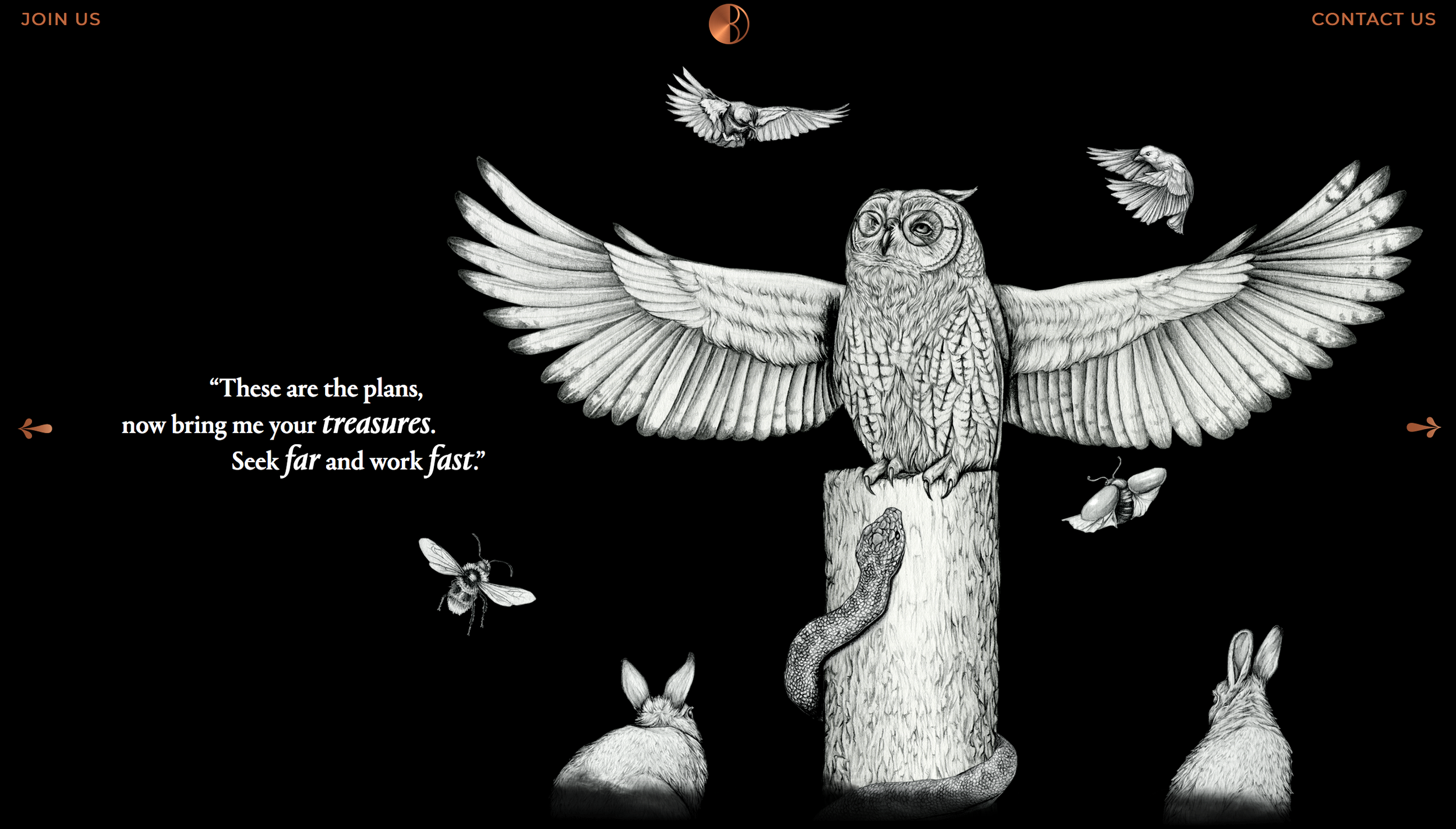 Screen Shot 2018-07-23 at 12.23.49 copy.png