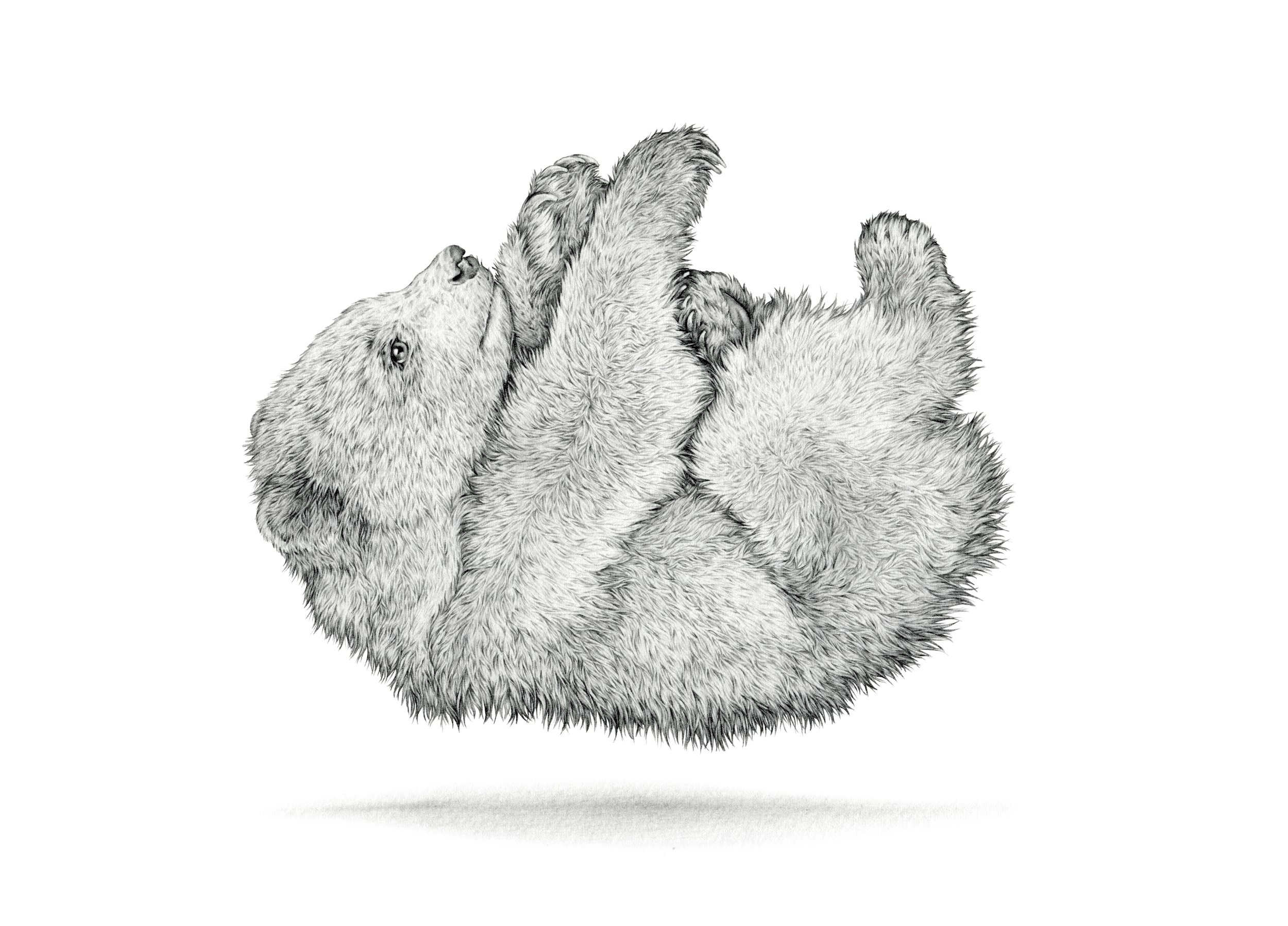 bear float-web.jpg
