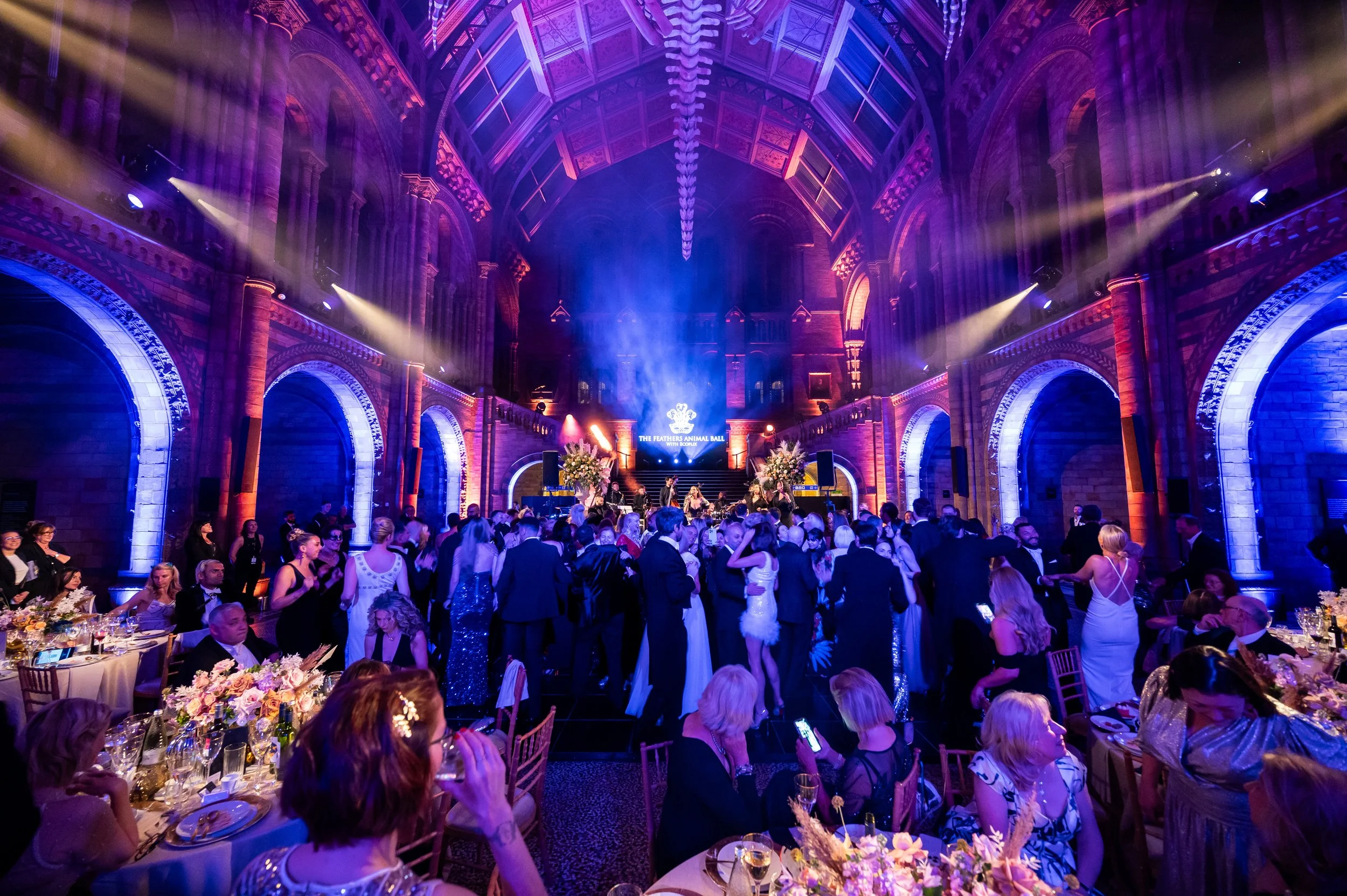 Guests enjoying a gala at the Natural History Museum